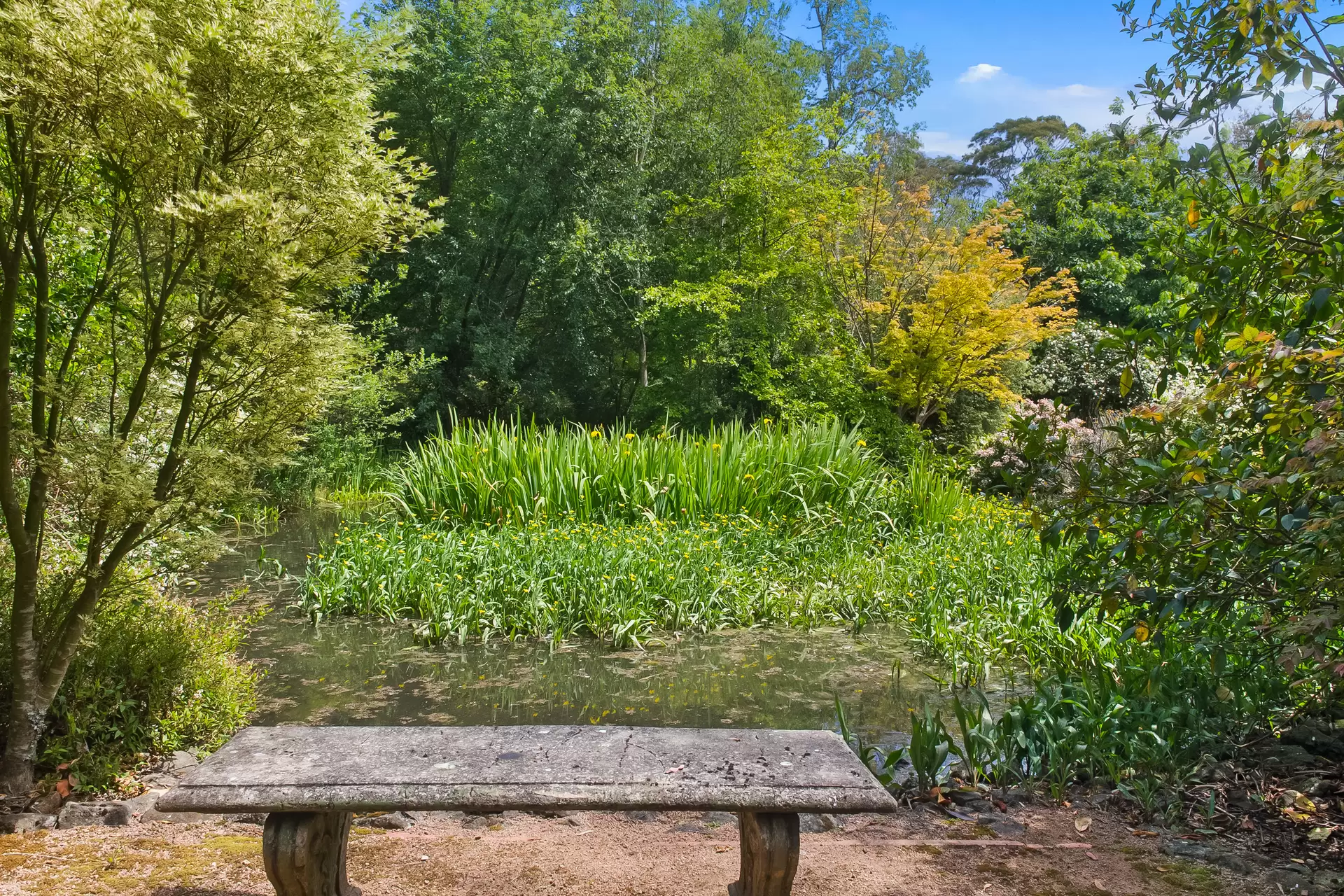 Photo #29: 1171 Old South Road, Bowral - For Sale by Drew Lindsay Sotheby's International Realty