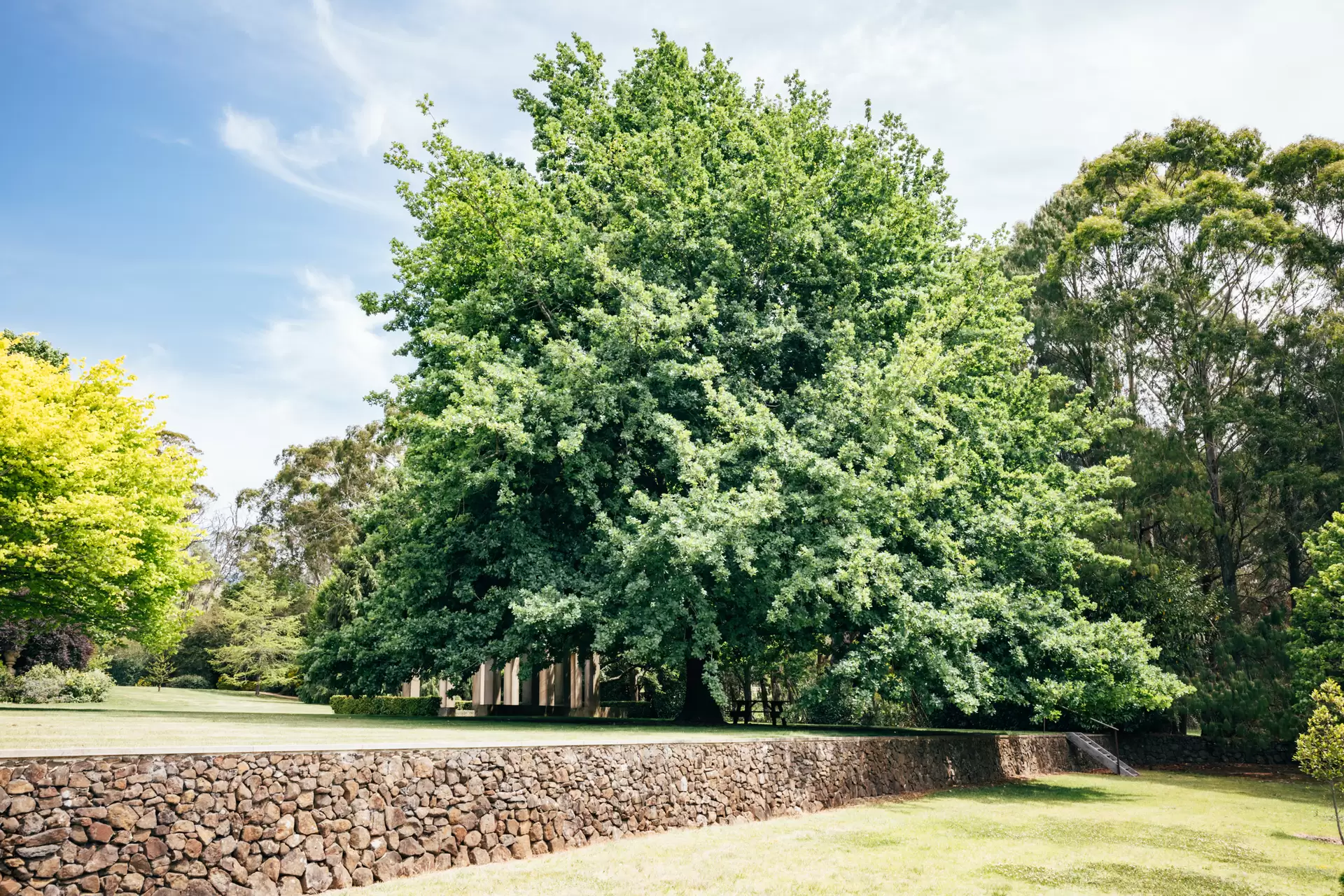1171 Old South Road, Bowral For Sale by Drew Lindsay Sotheby's International Realty - image 28