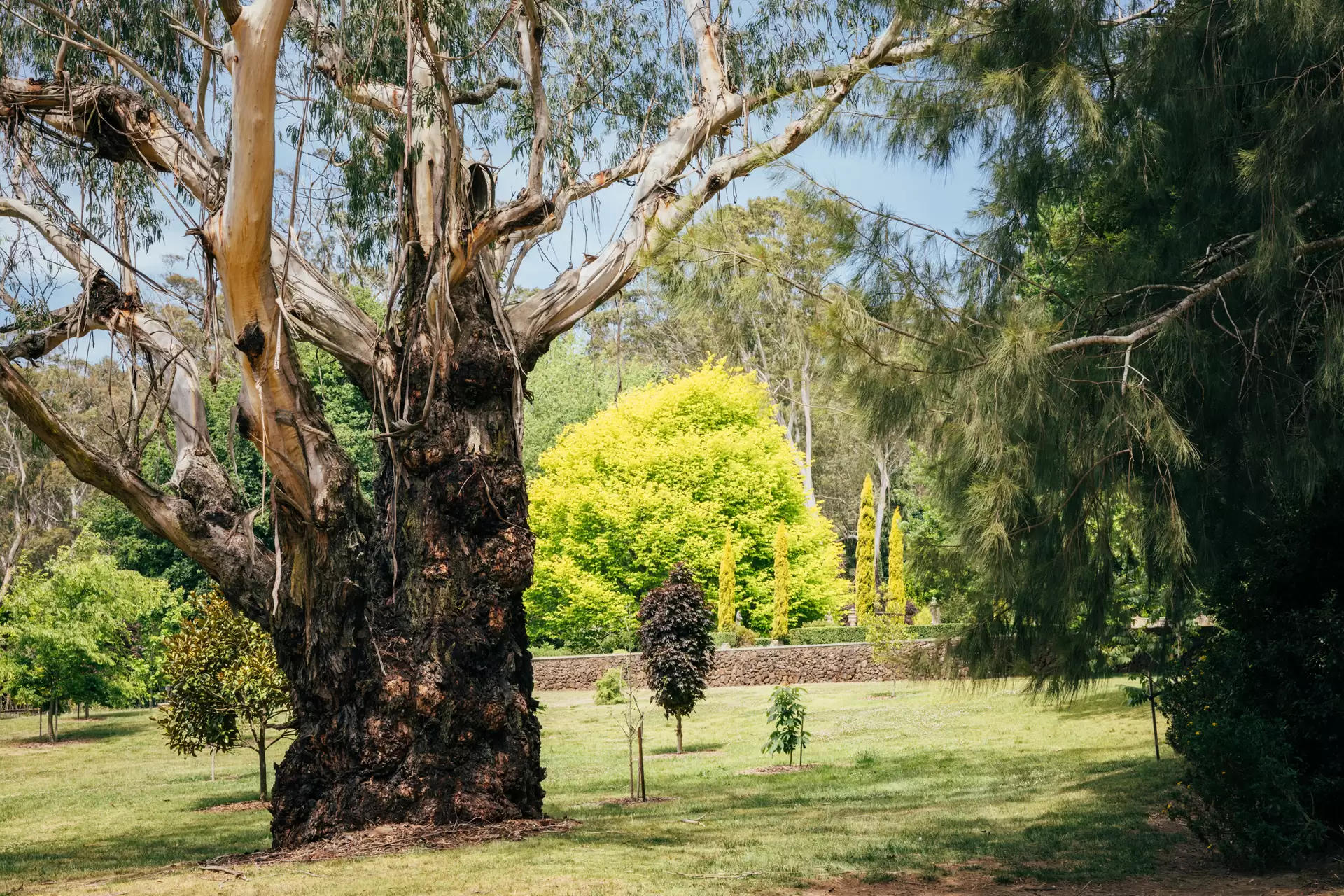1171 Old South Road, Bowral For Sale by Drew Lindsay Sotheby's International Realty - image 28