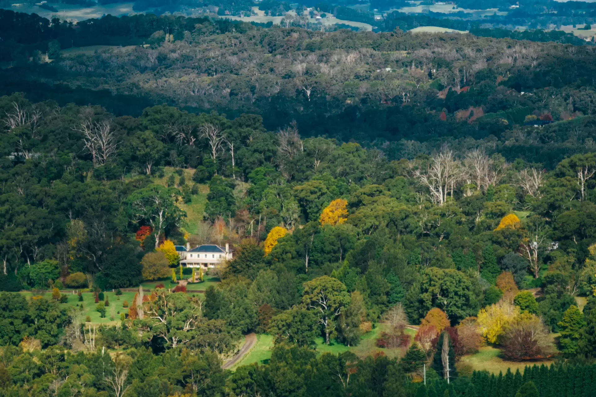 1171 Old South Road, Bowral For Sale by Drew Lindsay Sotheby's International Realty - image 33