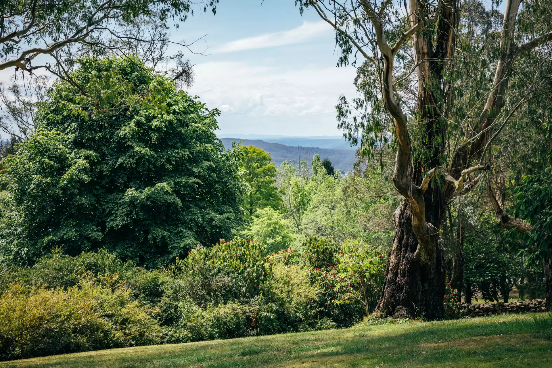 1171 Old South Road, Bowral For Sale by Drew Lindsay Sotheby's International Realty - image 30