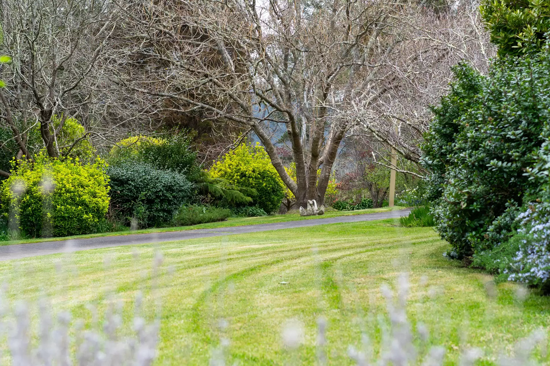 4 Fairway Drive, Bowral Sold by Drew Lindsay Sotheby's International Realty - image 15