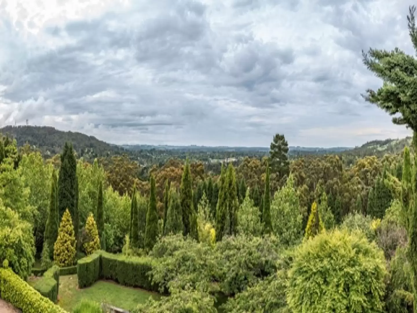 38 Boronia Street, Bowral Sold by Drew Lindsay Sotheby's International Realty - image 5