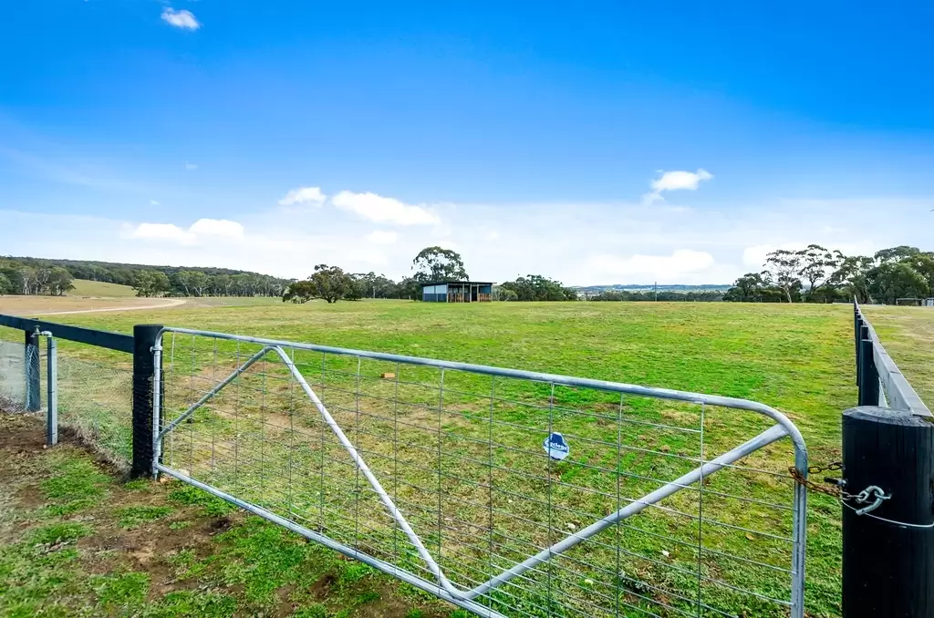 Marulan Sold by Drew Lindsay Sotheby's International Realty - image 6
