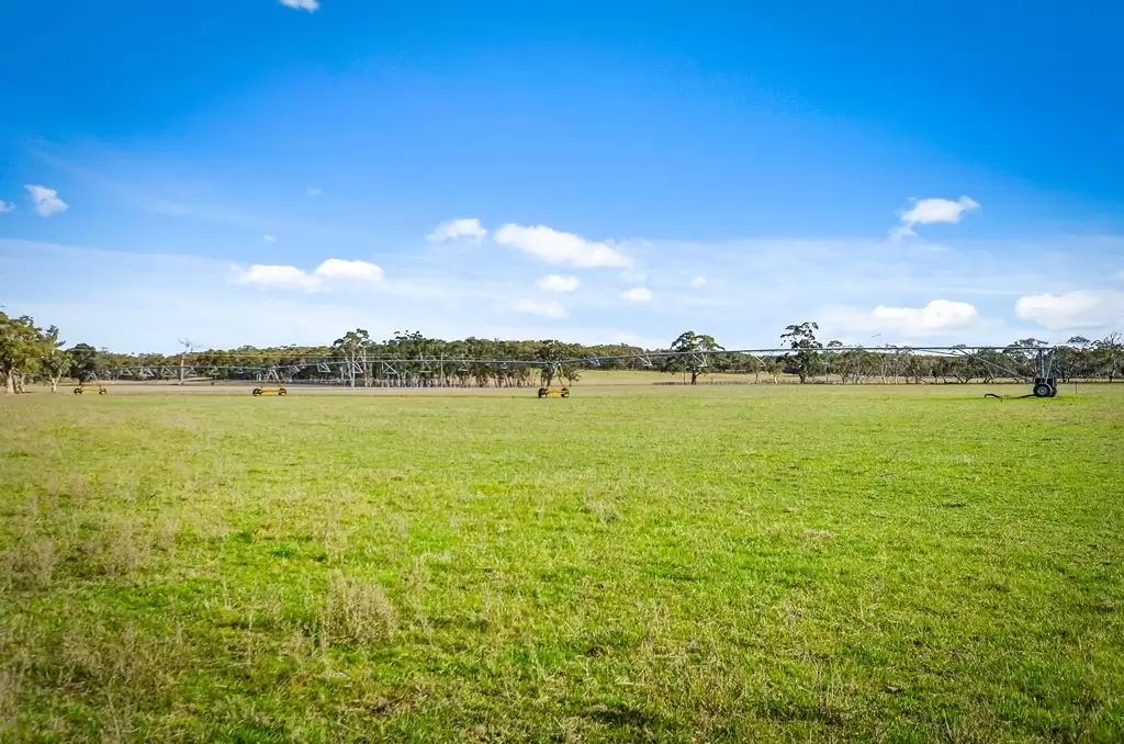 Marulan Sold by Drew Lindsay Sotheby's International Realty - image 5