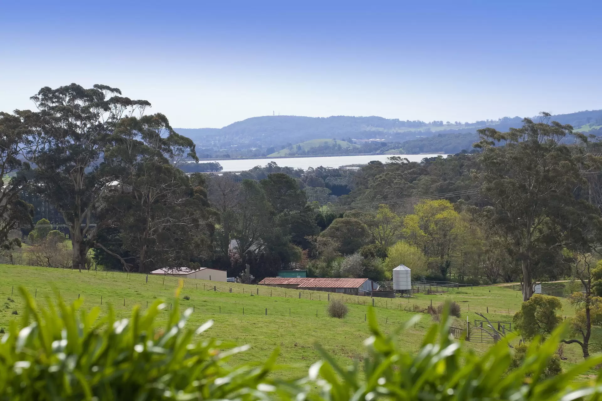 Burrawang Sold by Drew Lindsay Sotheby's International Realty - image 3