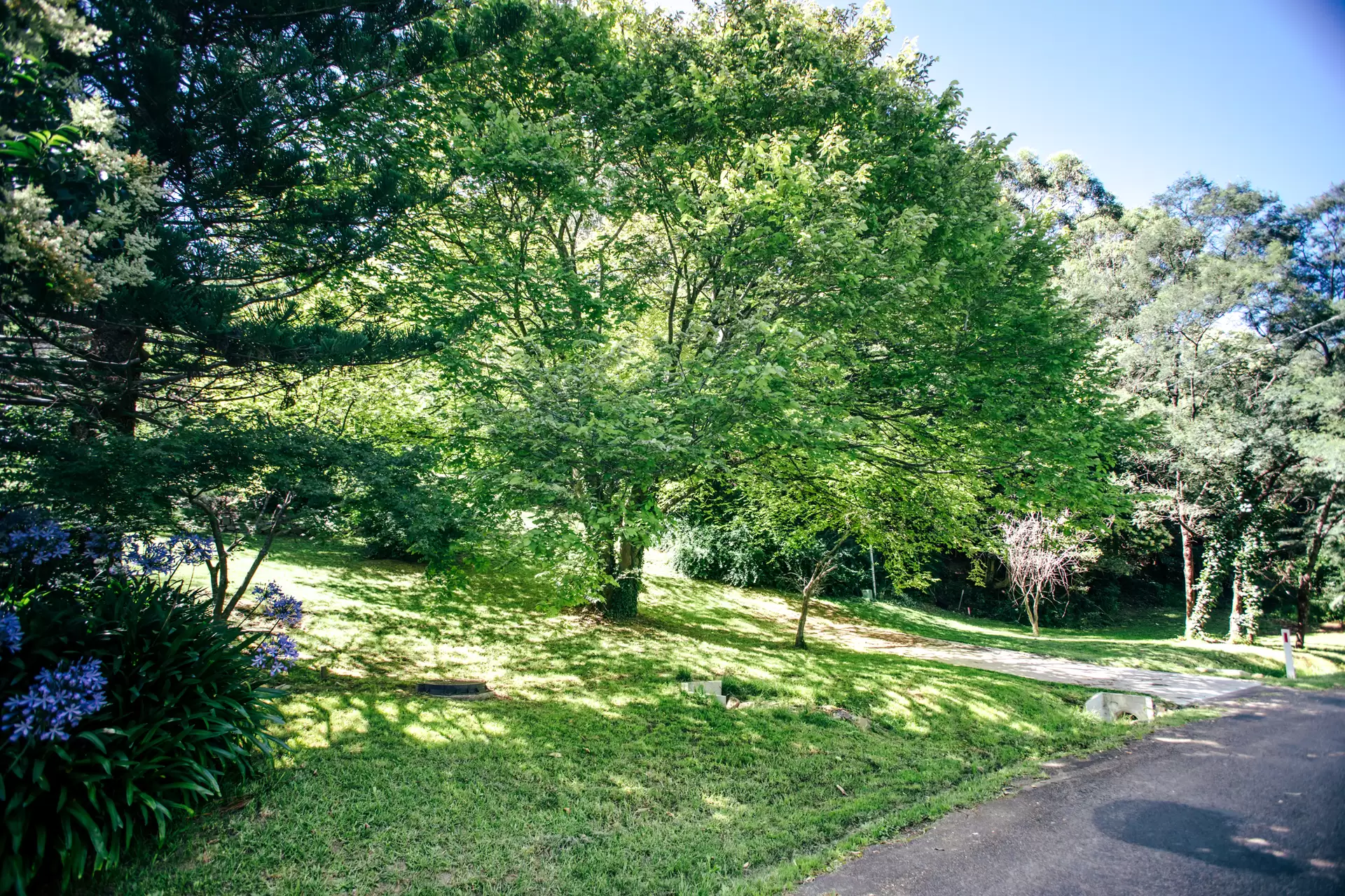 Photo #9: 7 Tulloona Avenue, Bowral - Sold by Drew Lindsay Sotheby's International Realty