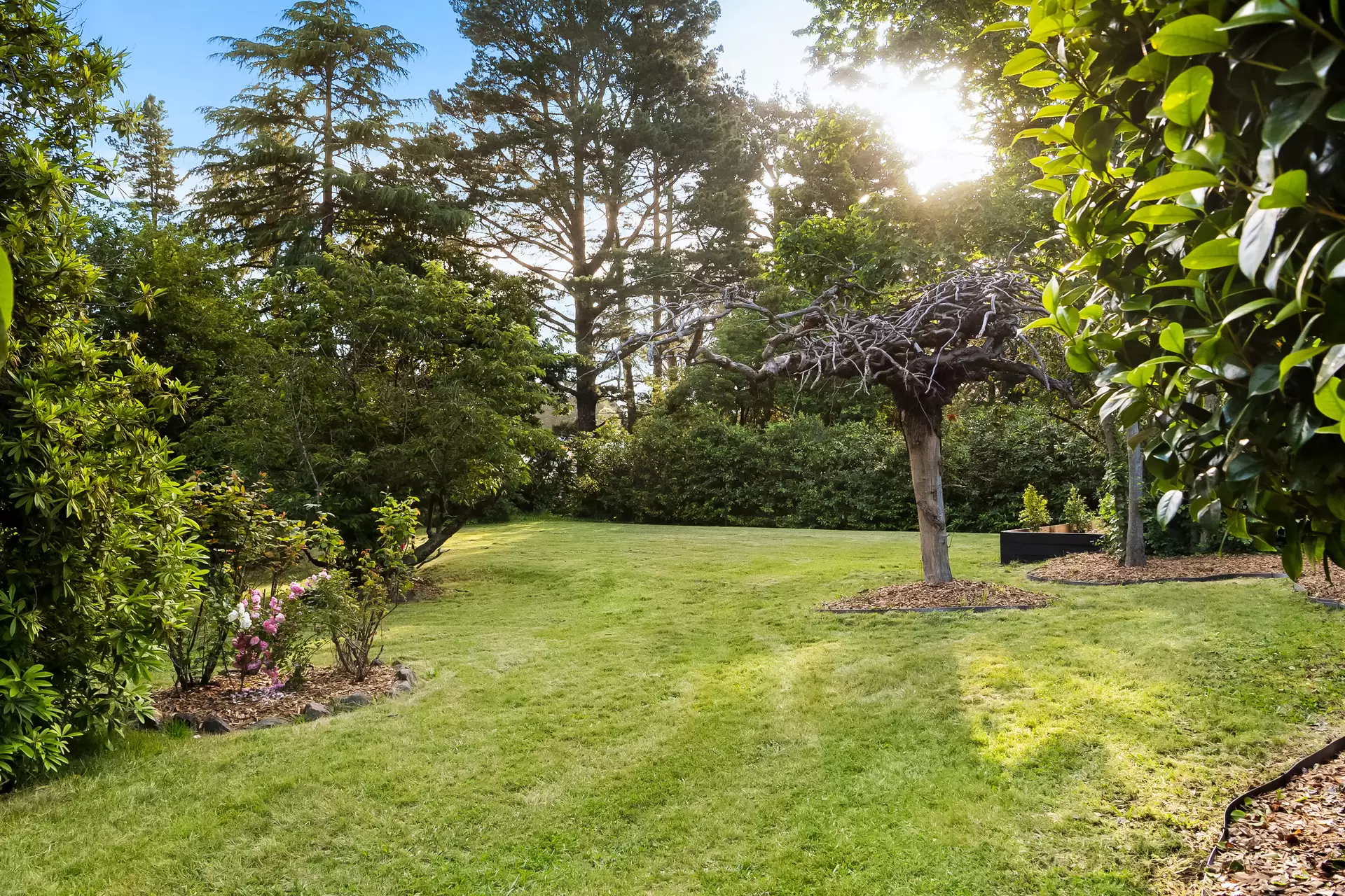 13 Centennial Road, Bowral Sold by Drew Lindsay Sotheby's International Realty - image 16