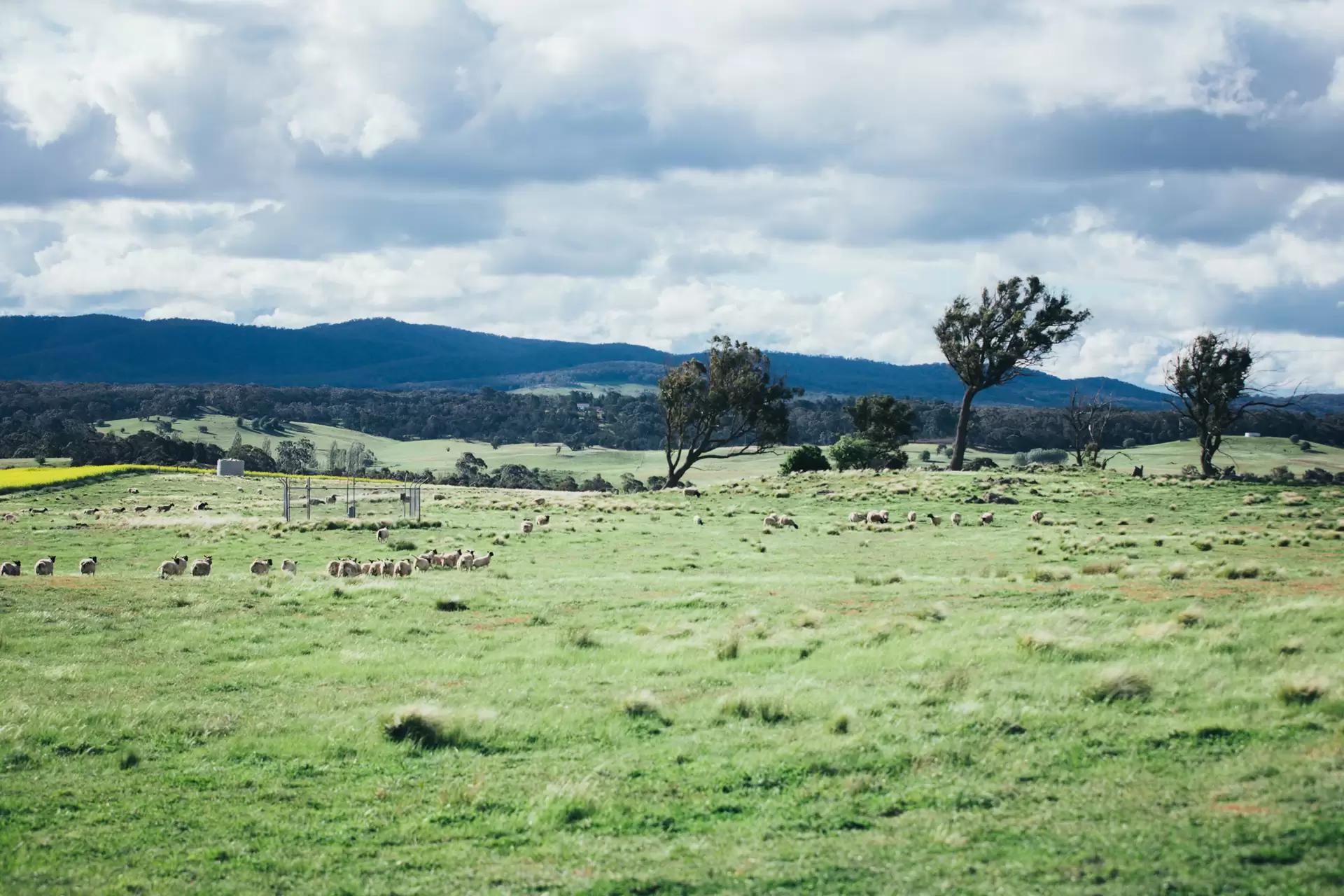 Lot 3,  The Lookdown Road, Bungonia Sold by Drew Lindsay Sotheby's International Realty - image 6