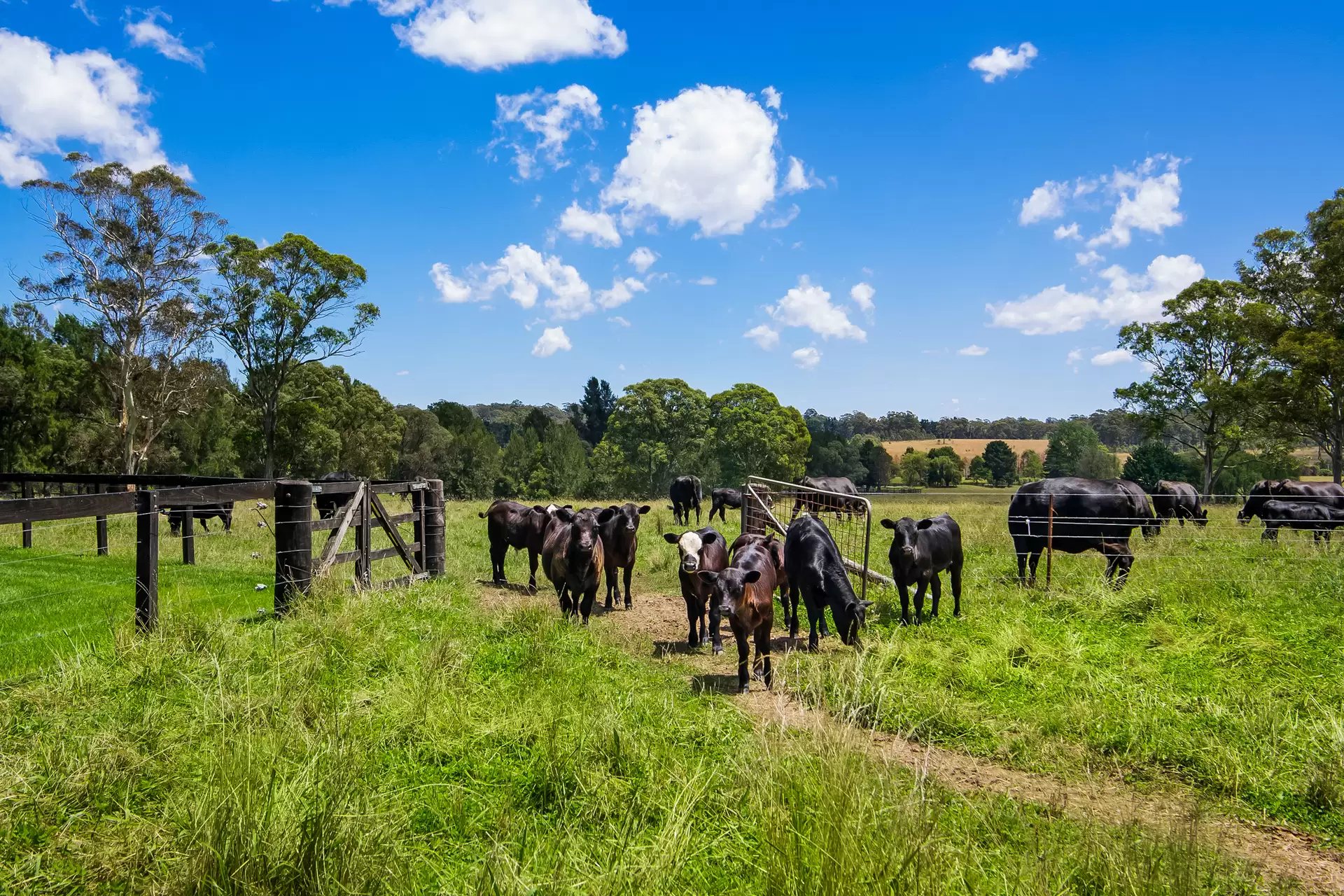 Photo #25: 475 Old South Road, Mittagong - Sold by Drew Lindsay Sotheby's International Realty