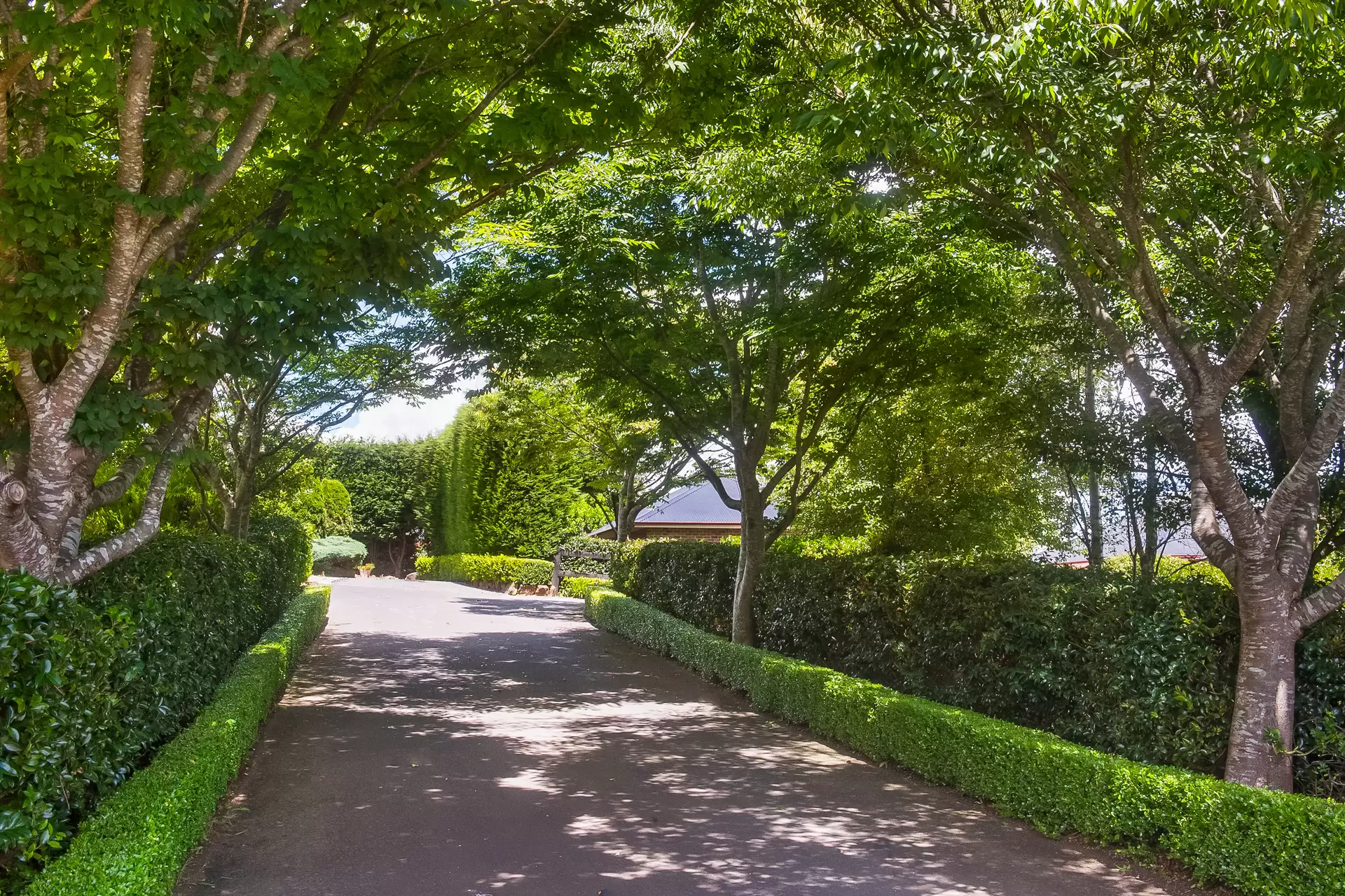 6 Hanrahan Place, Robertson Sold by Drew Lindsay Sotheby's International Realty - image 20