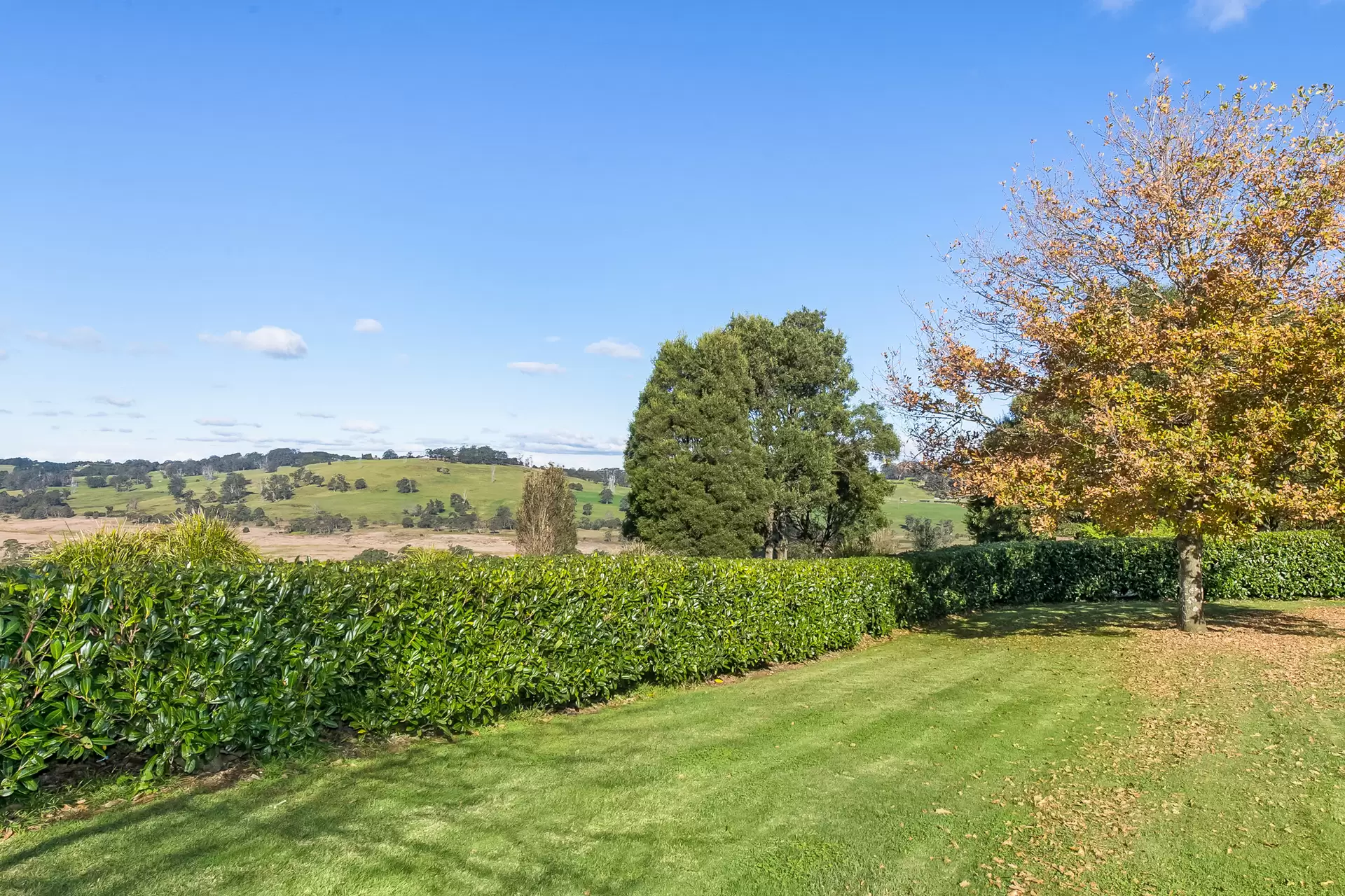 150 Hawthorne Lane, Kangaloon For Sale by Drew Lindsay Sotheby's International Realty - image 18