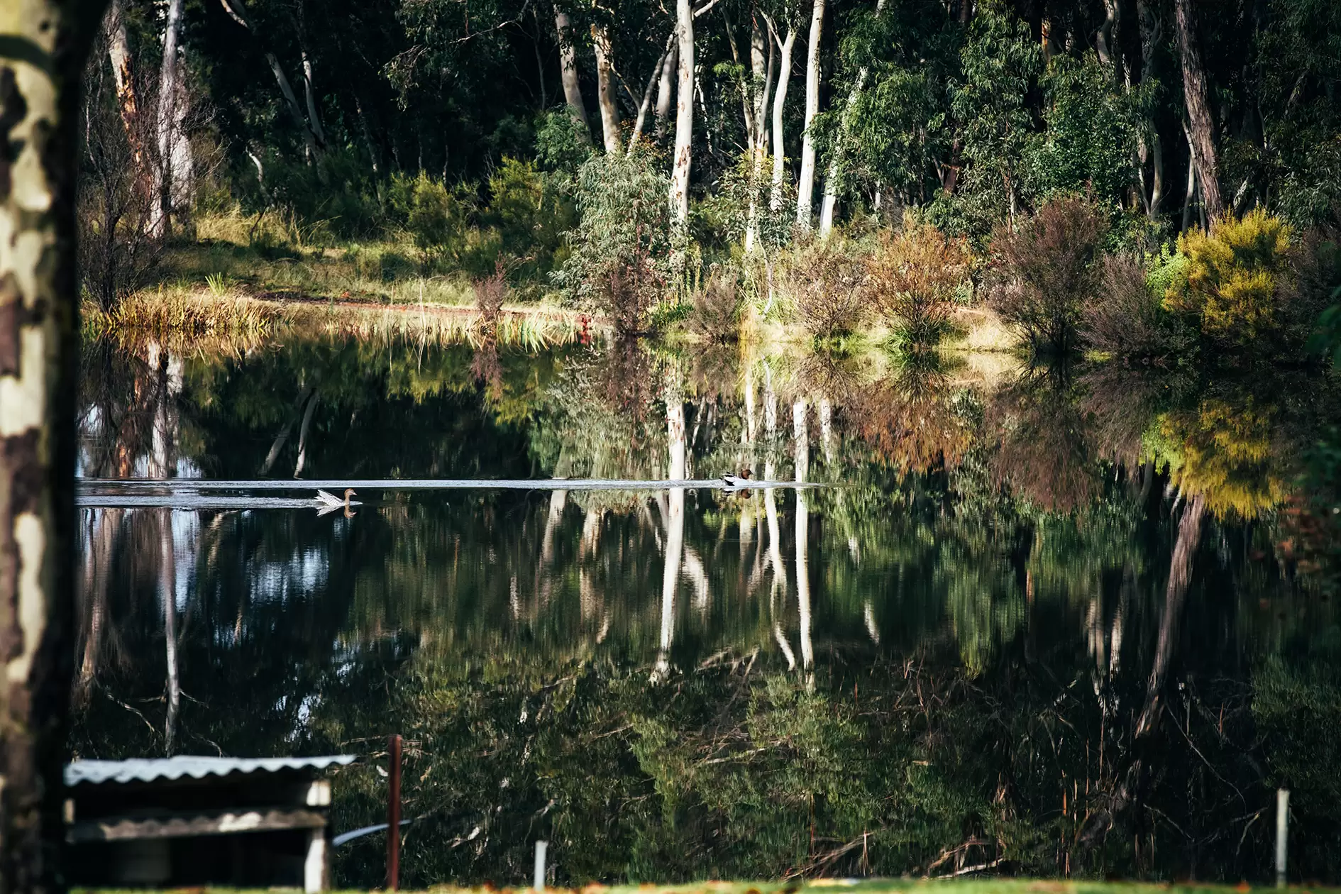 58 Birchalls Lane, Berrima For Sale by Drew Lindsay Sotheby's International Realty - image 18