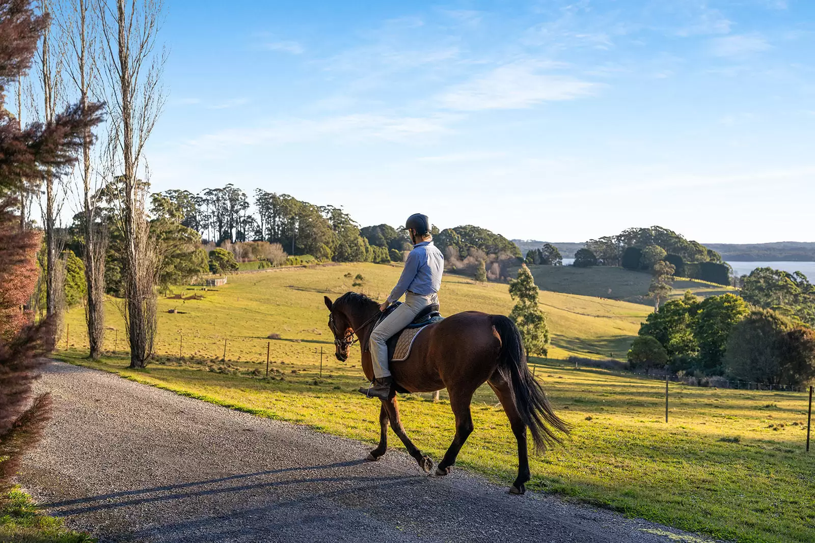 421 Myra Vale Road, Wildes Meadow For Sale by Drew Lindsay Sotheby's International Realty - image 13