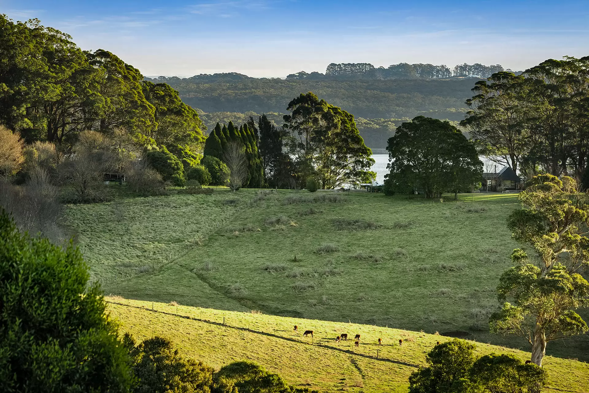 421 Myra Vale Road, Wildes Meadow For Sale by Drew Lindsay Sotheby's International Realty - image 3