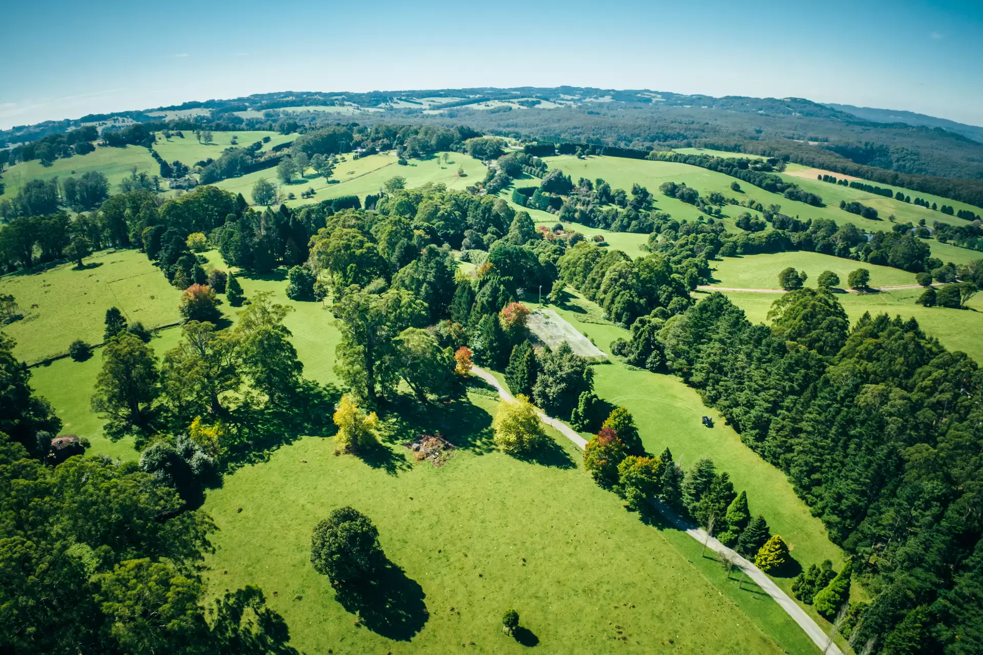 421 Myra Vale Road, Wildes Meadow For Sale by Drew Lindsay Sotheby's International Realty - image 11