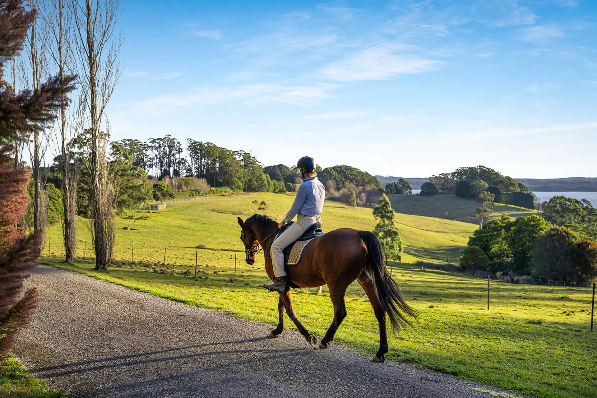 421 Myra Vale Road, Wildes Meadow For Sale by Drew Lindsay Sotheby's International Realty - image 12
