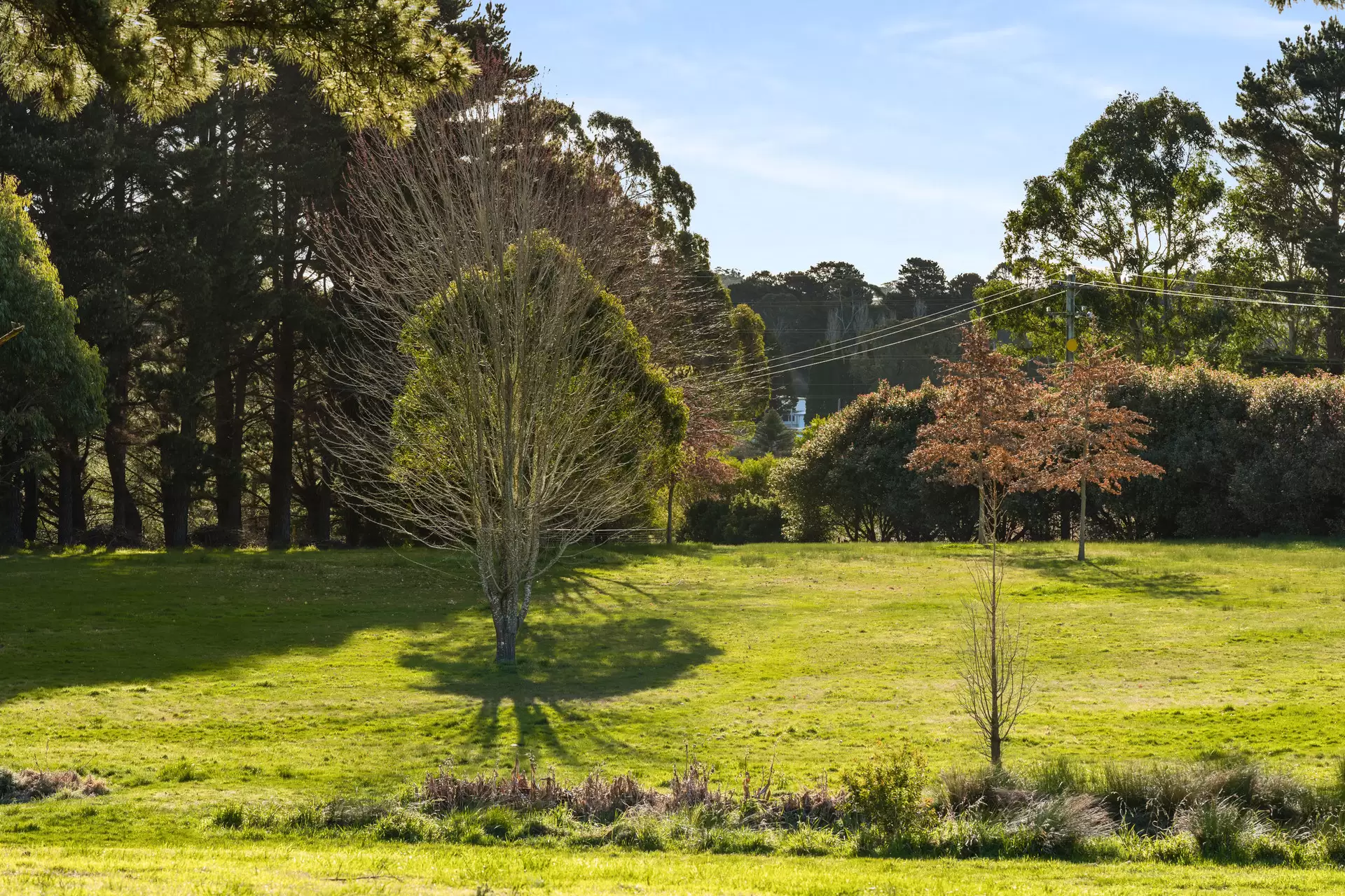 280 Kangaloon Road, Bowral For Sale by Drew Lindsay Sotheby's International Realty - image 8