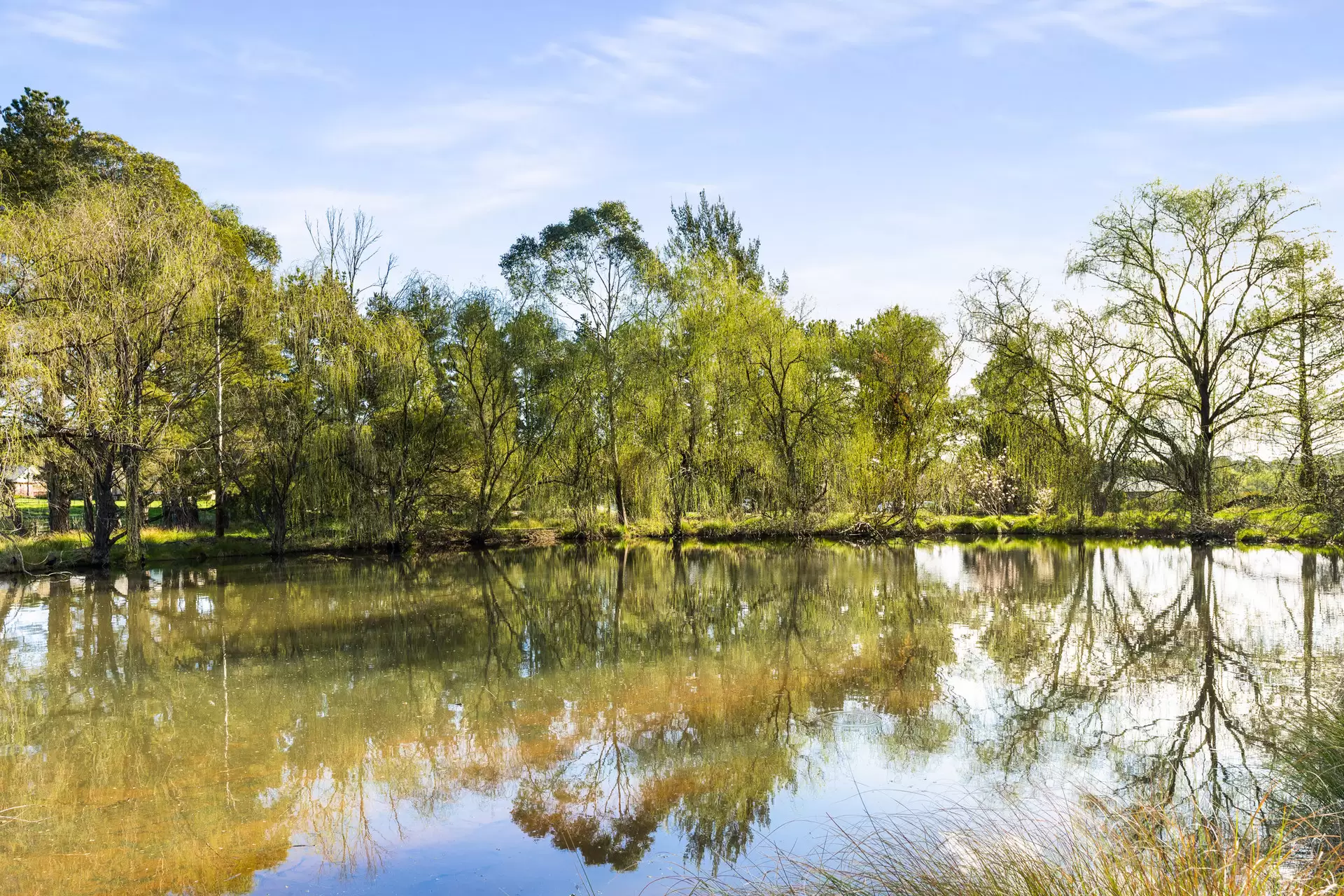 280 Kangaloon Road, Bowral For Sale by Drew Lindsay Sotheby's International Realty - image 7