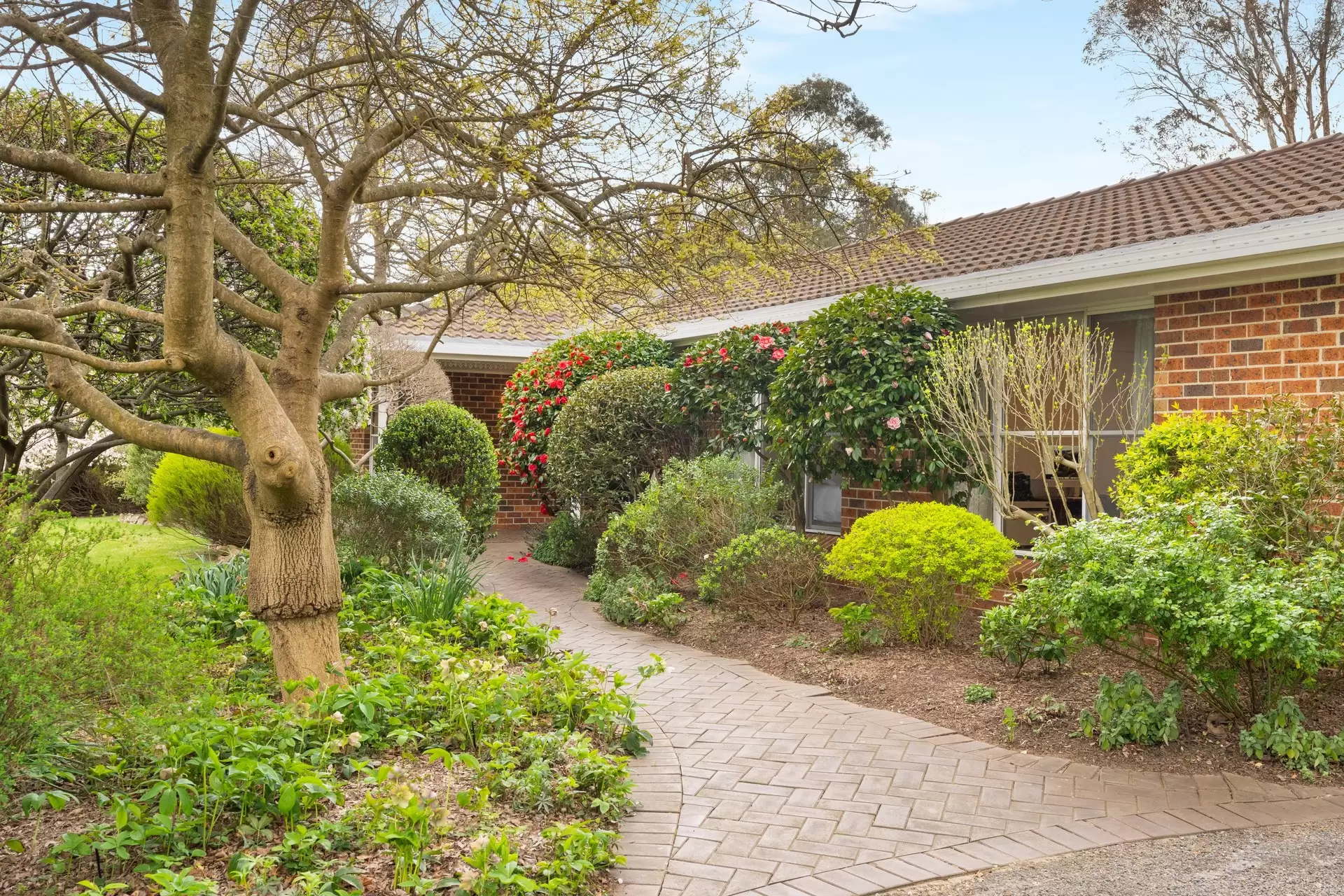 13 Nerang Street, Burradoo For Sale by Drew Lindsay Sotheby's International Realty - image 3