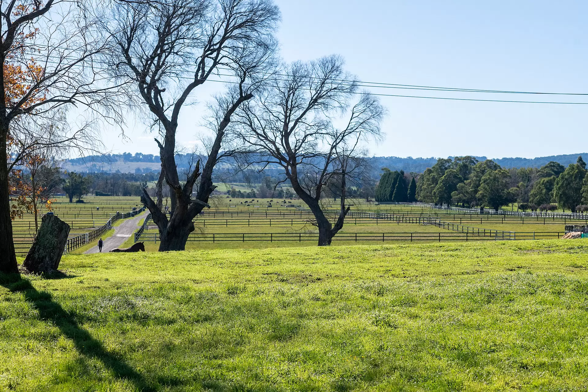 Moss Vale For Sale by Drew Lindsay Sotheby's International Realty - image 21