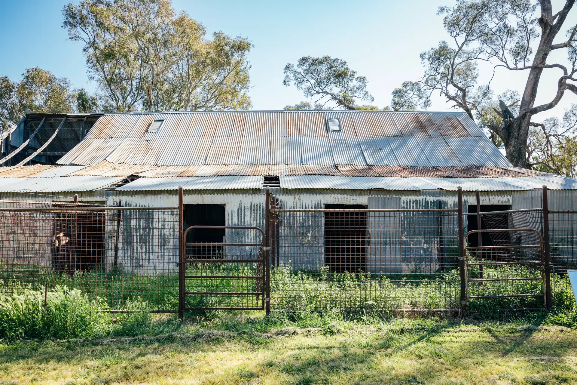 1301 Bedgerabong Road, Forbes For Sale by Drew Lindsay Sotheby's International Realty - image 23