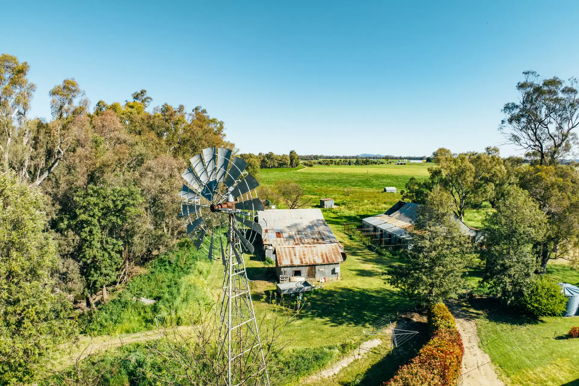 1301 Bedgerabong Road, Forbes For Sale by Drew Lindsay Sotheby's International Realty - image 3