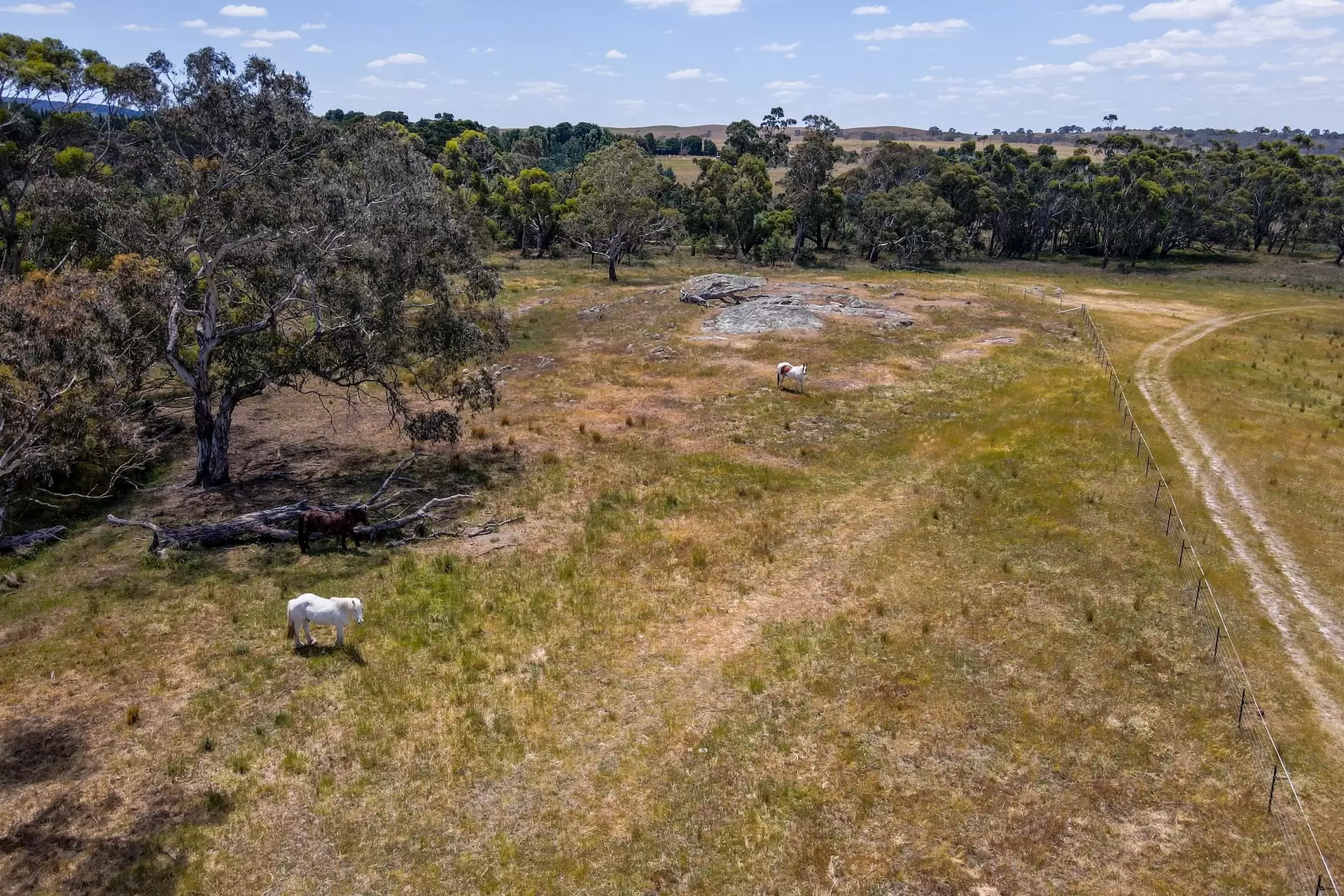 1154 Goulburn Road, Boro For Sale by Drew Lindsay Sotheby's International Realty - image 24