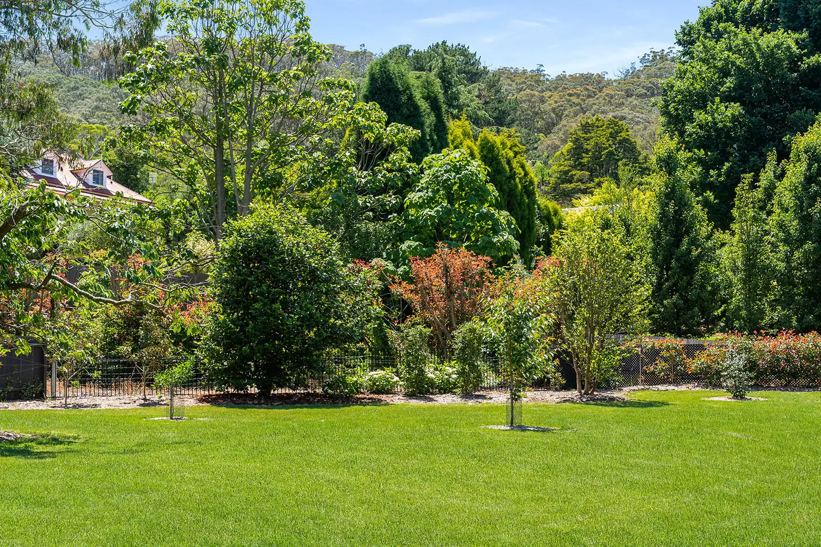 16 Cliff Street, Bowral For Sale by Drew Lindsay Sotheby's International Realty - image 22