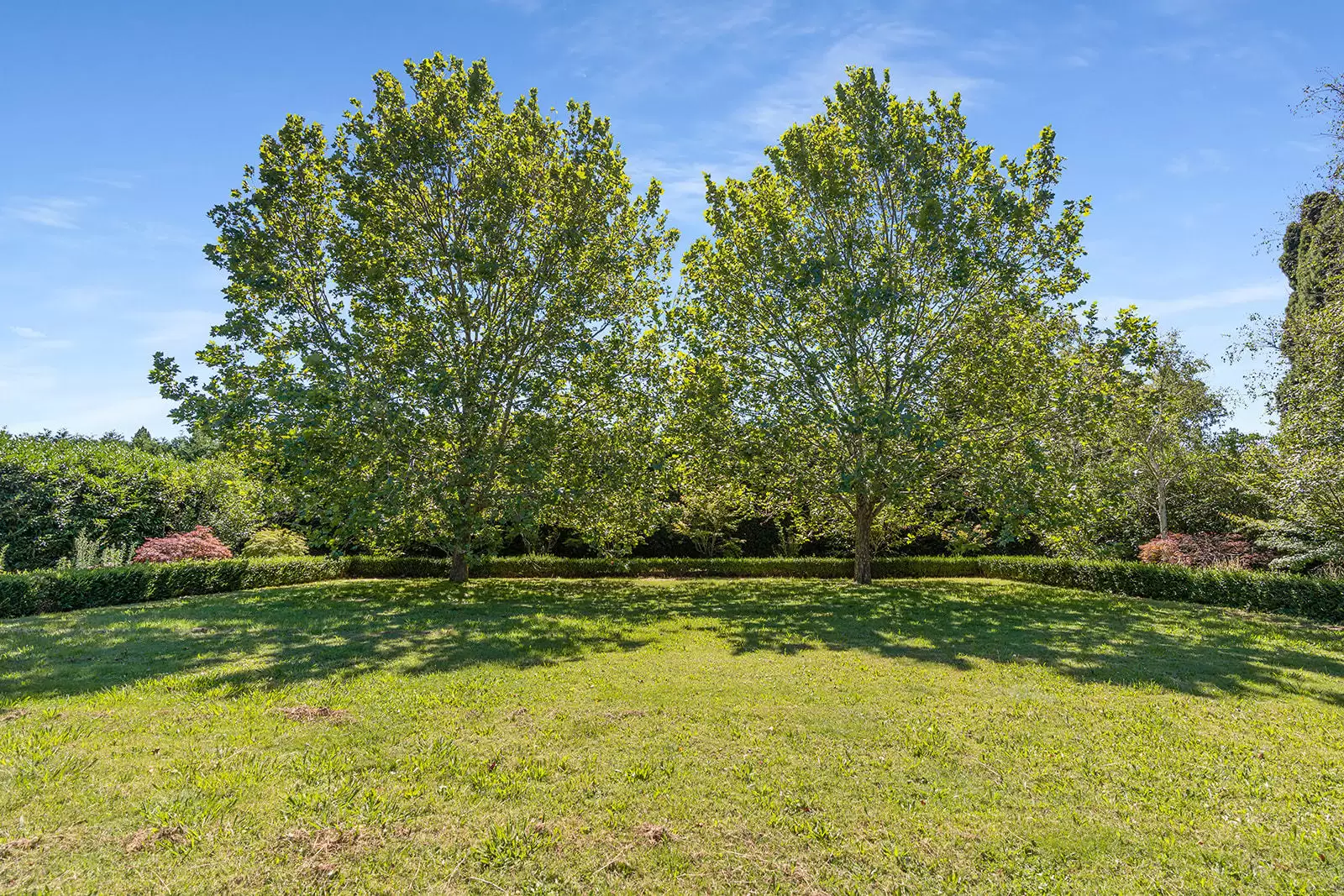 11 Links Road, Burradoo For Sale by Drew Lindsay Sotheby's International Realty - image 23