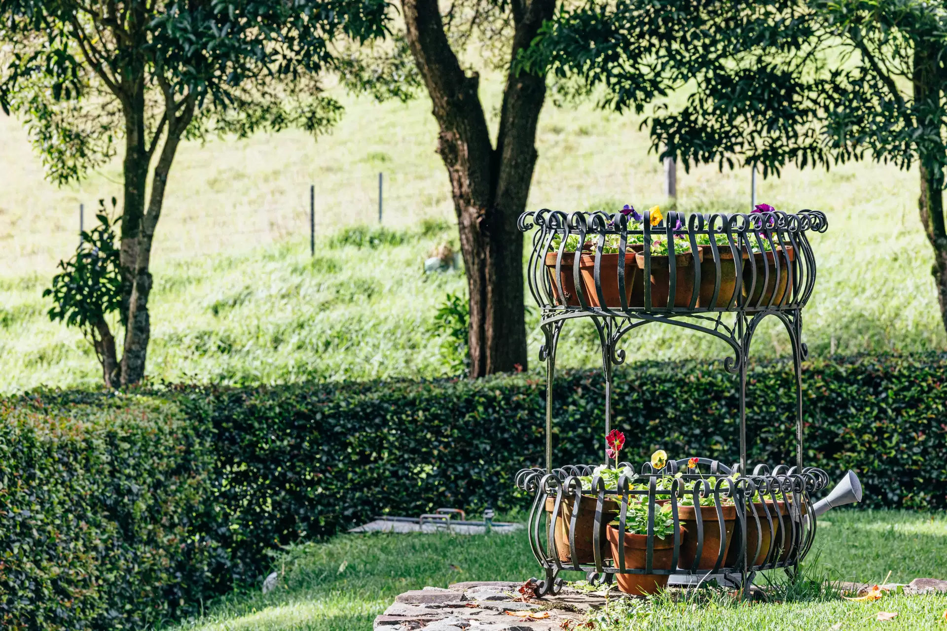 Kangaloon For Sale by Drew Lindsay Sotheby's International Realty - image 29