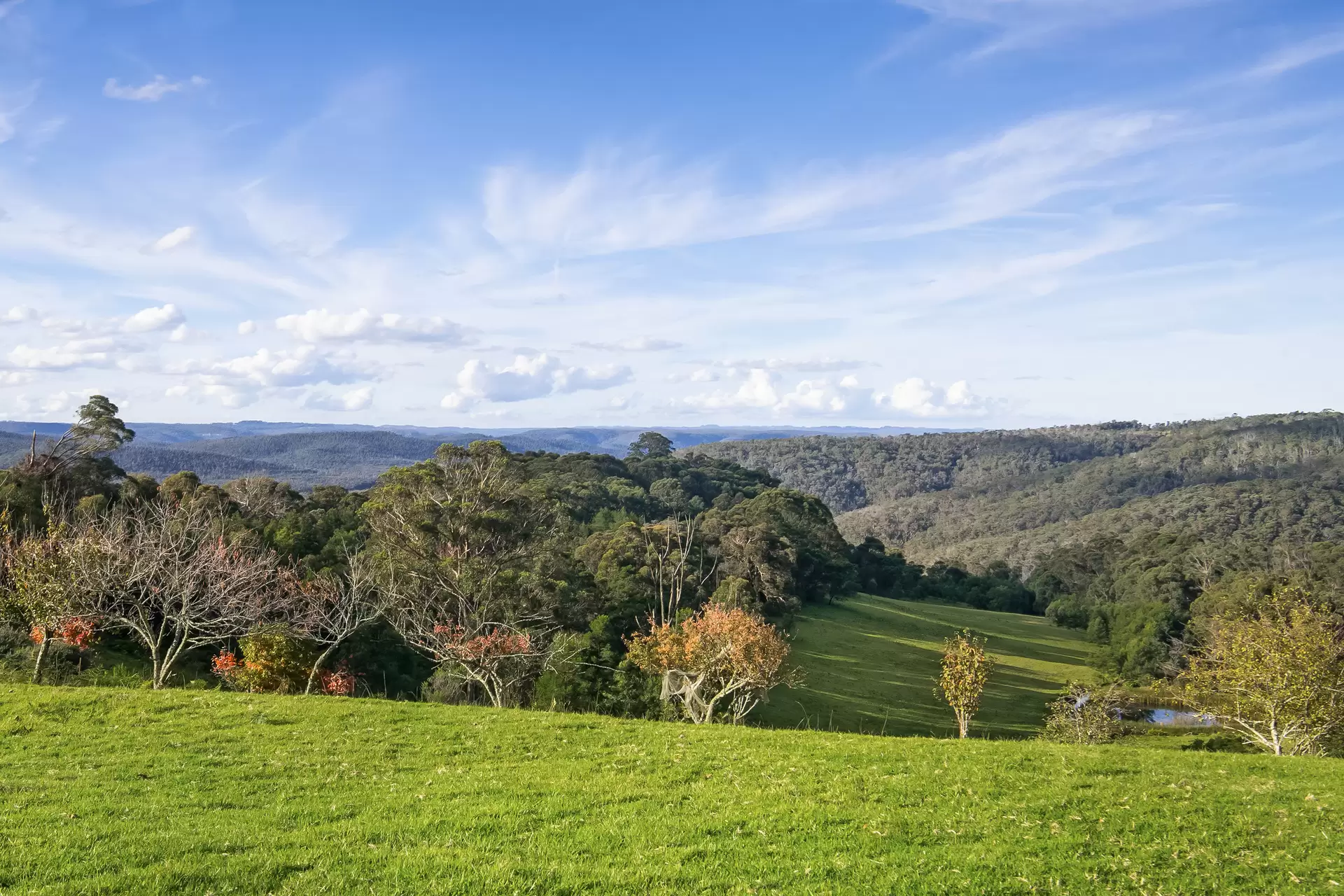 1639 Caoura Road, Tallong For Sale by Drew Lindsay Sotheby's International Realty - image 1