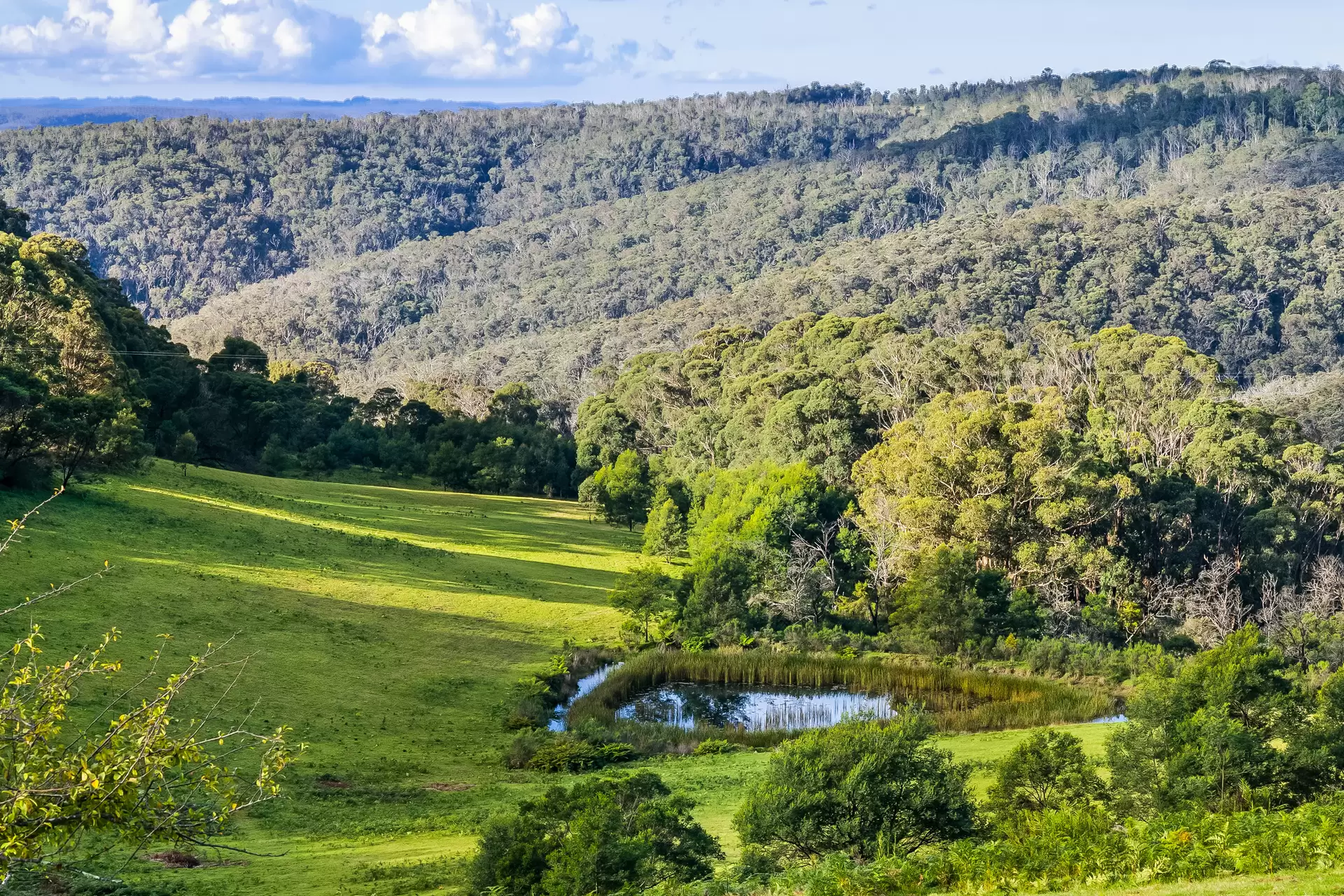 1639 Caoura Road, Tallong For Sale by Drew Lindsay Sotheby's International Realty - image 10
