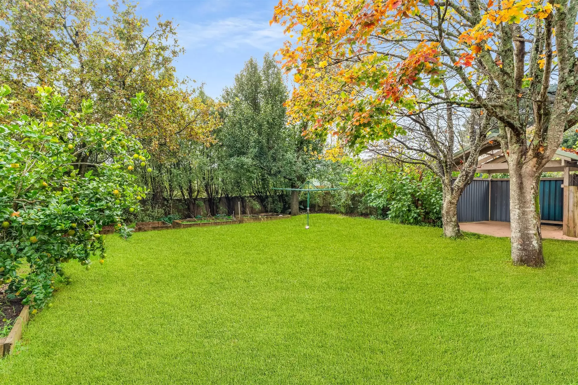 12 Swan Street, Robertson For Sale by Drew Lindsay Sotheby's International Realty - image 15