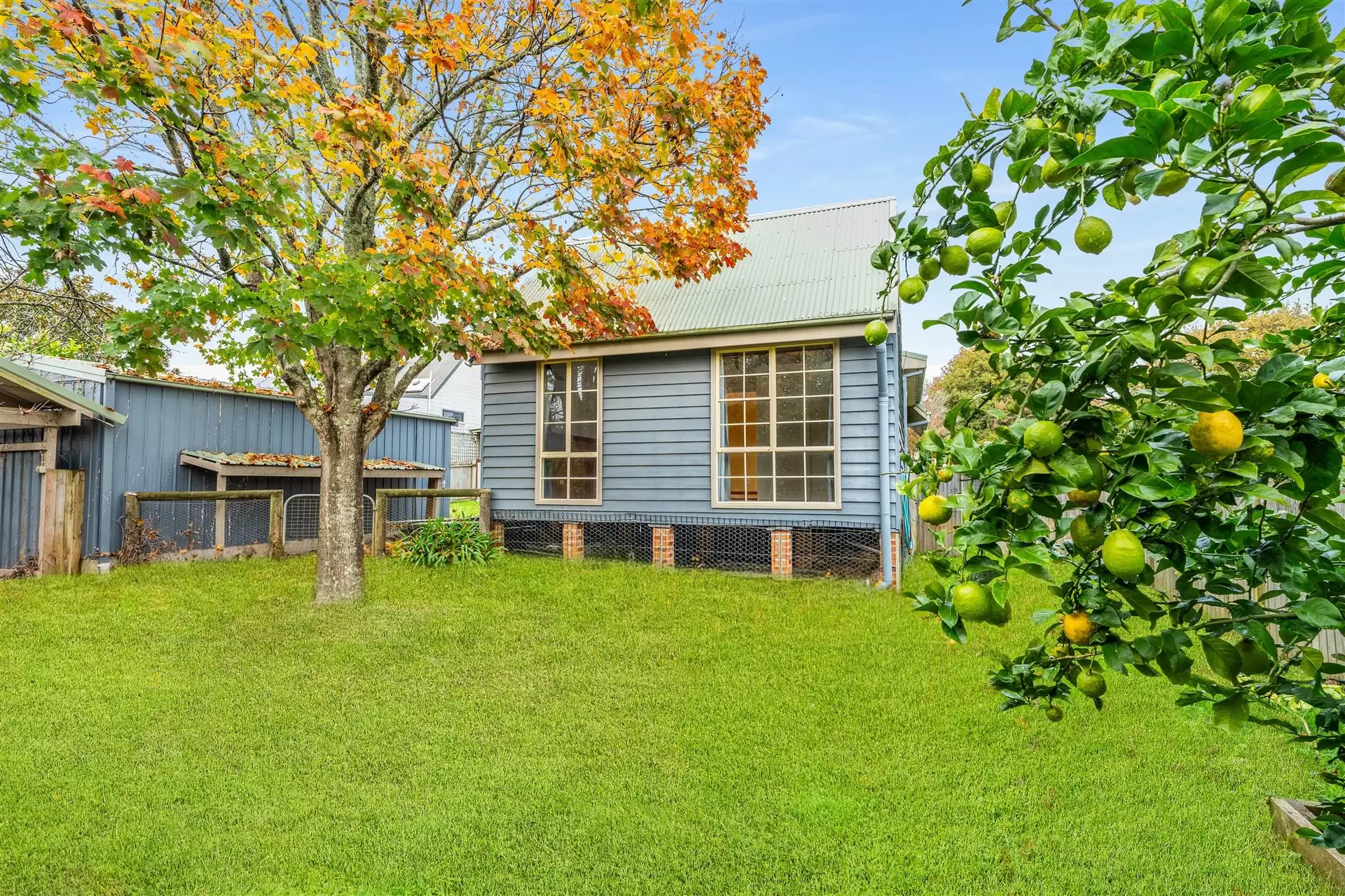 12 Swan Street, Robertson For Sale by Drew Lindsay Sotheby's International Realty - image 16