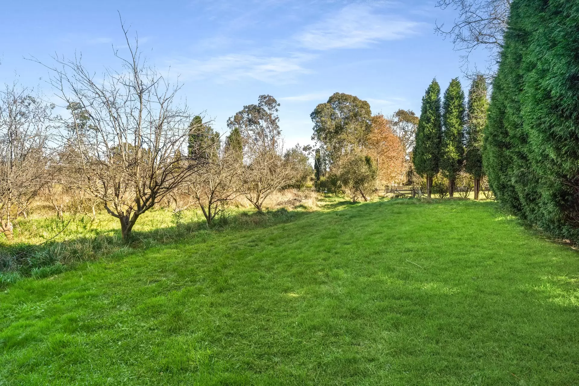 159 Bowral Street, Bowral Auction by Drew Lindsay Sotheby's International Realty - image 14