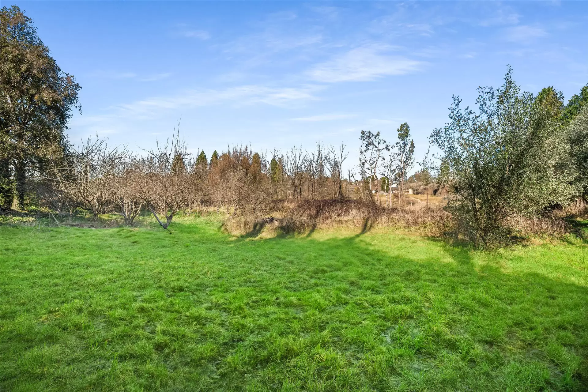 159 Bowral Street, Bowral Auction by Drew Lindsay Sotheby's International Realty - image 12
