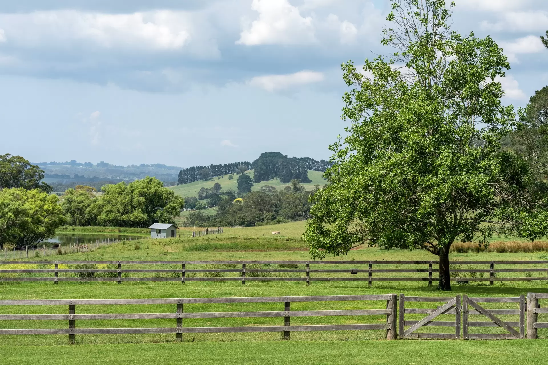 Glenquarry For Sale by Drew Lindsay Sotheby's International Realty - image 35
