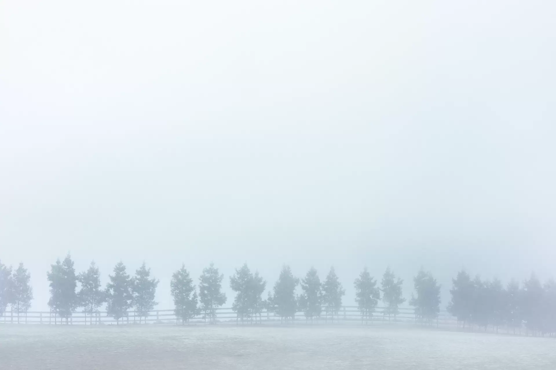 Barrengarry For Sale by Drew Lindsay Sotheby's International Realty - image 10