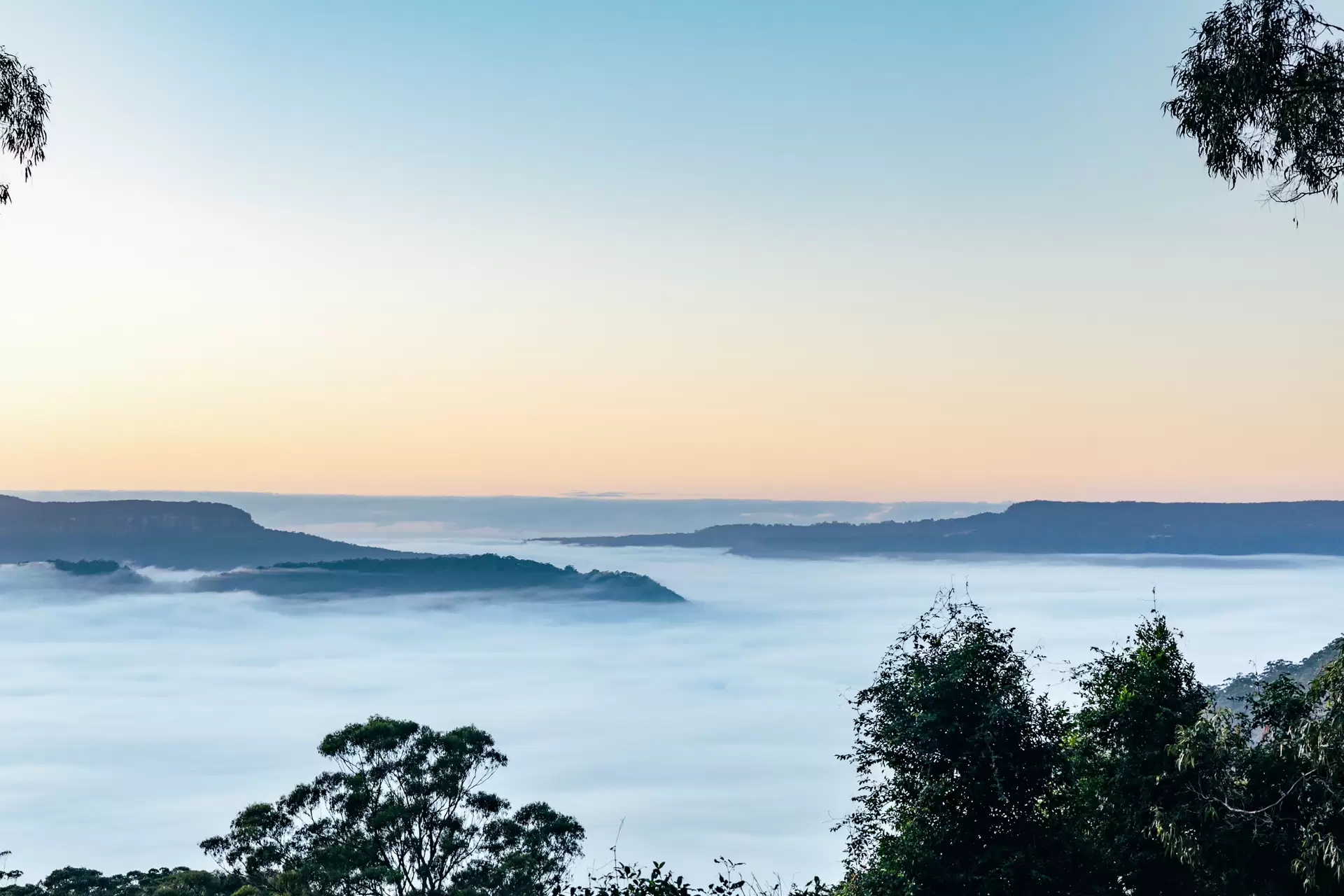 Barrengarry For Sale by Drew Lindsay Sotheby's International Realty - image 9