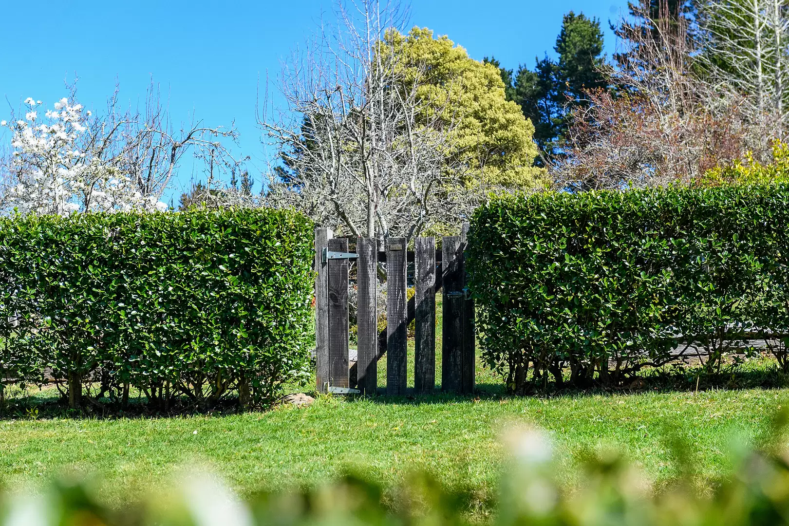 51 Shierlaw Road, Robertson For Sale by Drew Lindsay Sotheby's International Realty - image 8