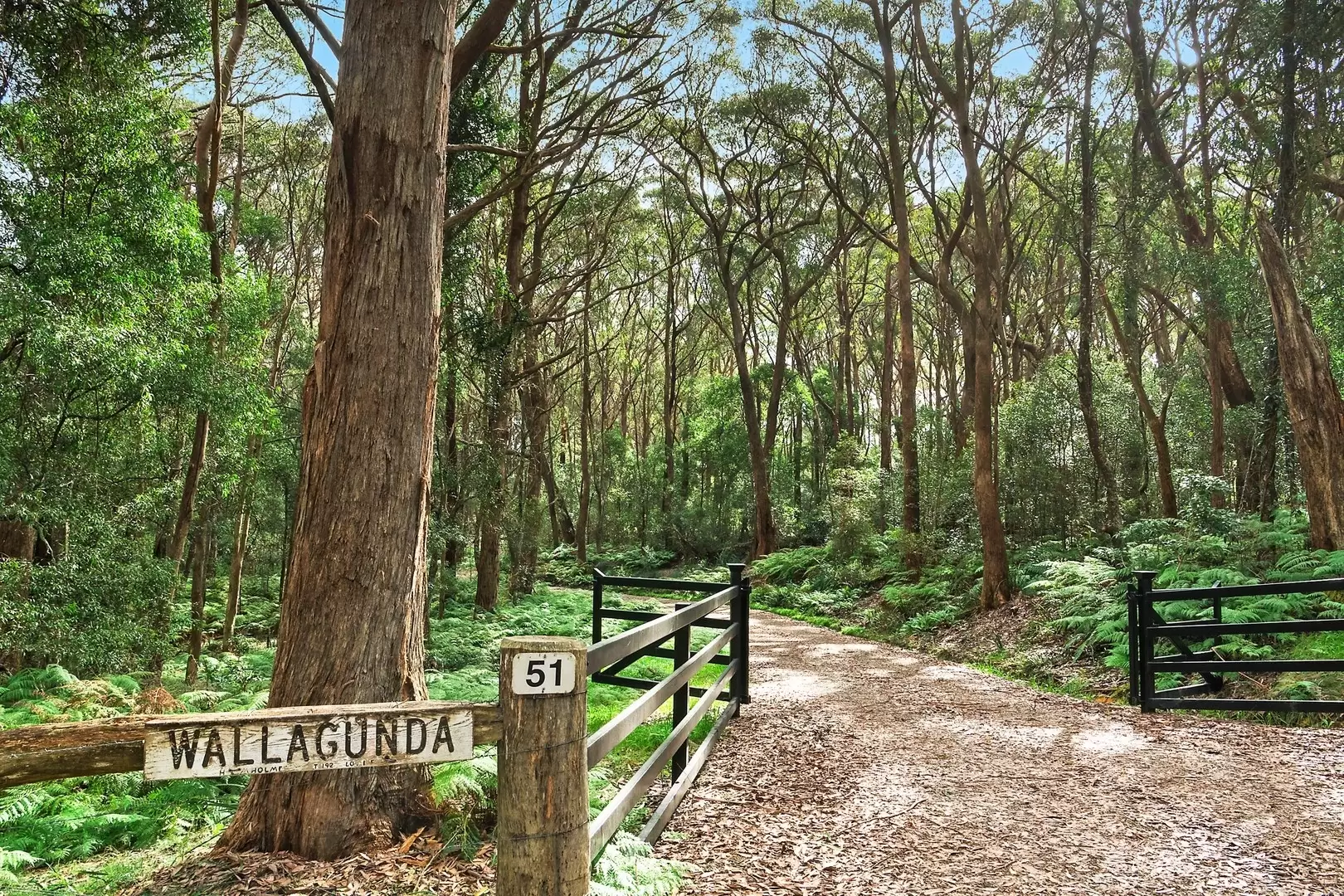 51 Shierlaw Road, Robertson For Sale by Drew Lindsay Sotheby's International Realty - image 29