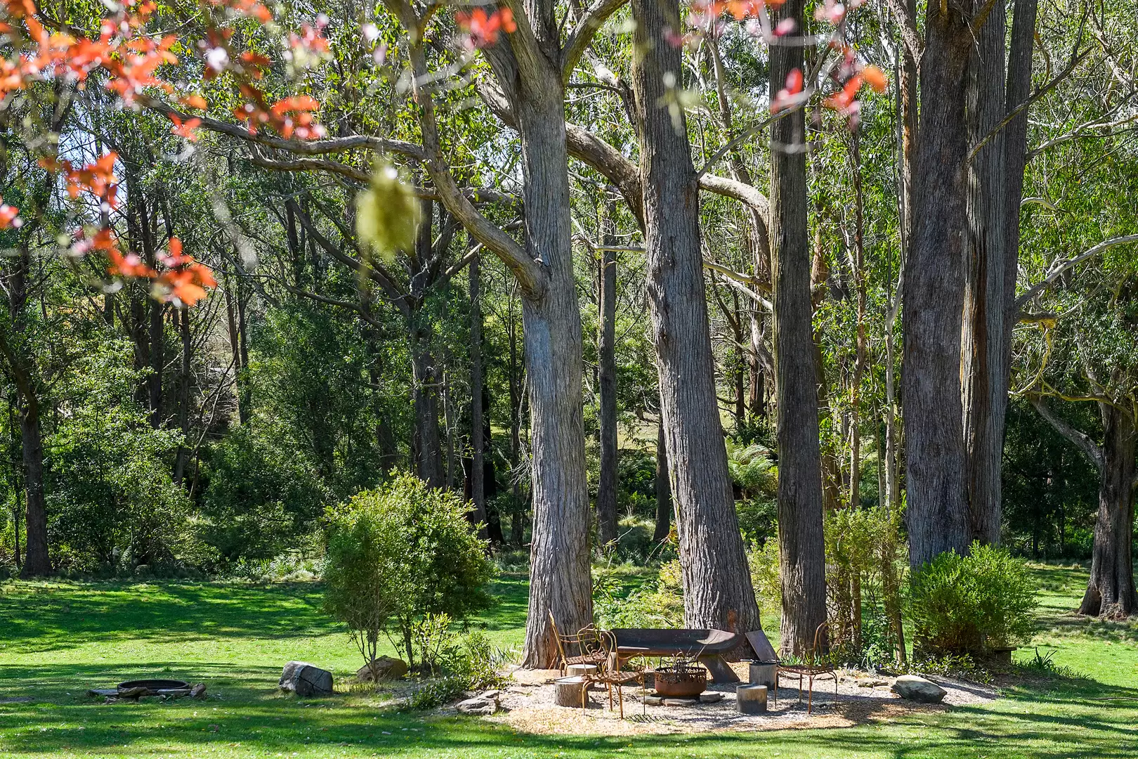 51 Shierlaw Road, Robertson For Sale by Drew Lindsay Sotheby's International Realty - image 25