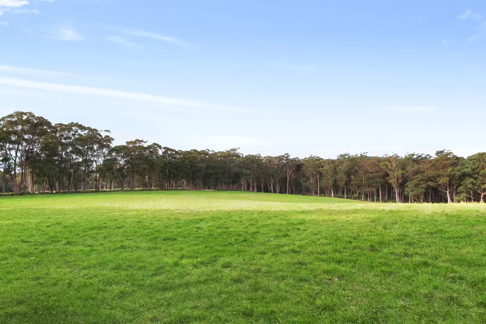 51 Shierlaw Road, Robertson For Sale by Drew Lindsay Sotheby's International Realty - image 18