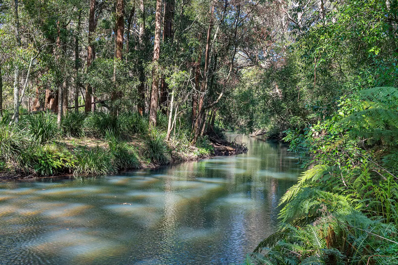 51 Shierlaw Road, Robertson For Sale by Drew Lindsay Sotheby's International Realty - image 23