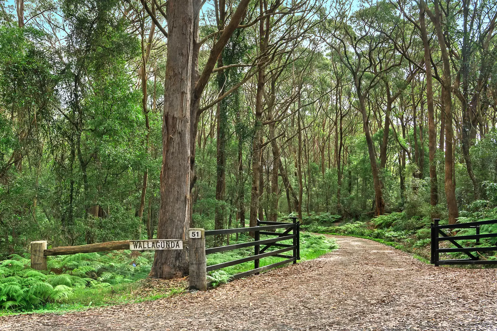 51 Shierlaw Road, Robertson For Sale by Drew Lindsay Sotheby's International Realty - image 28