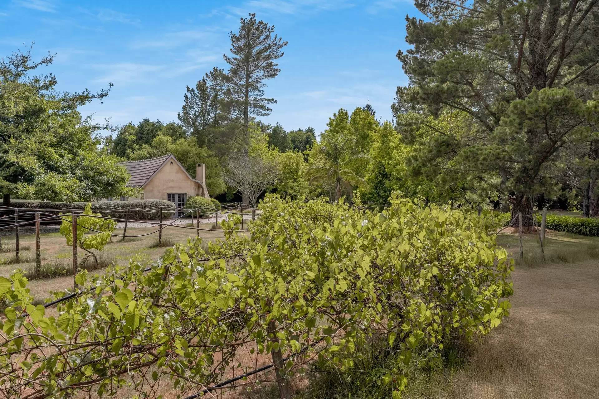 560 Oxleys Hill Road, Berrima For Sale by Drew Lindsay Sotheby's International Realty - image 17