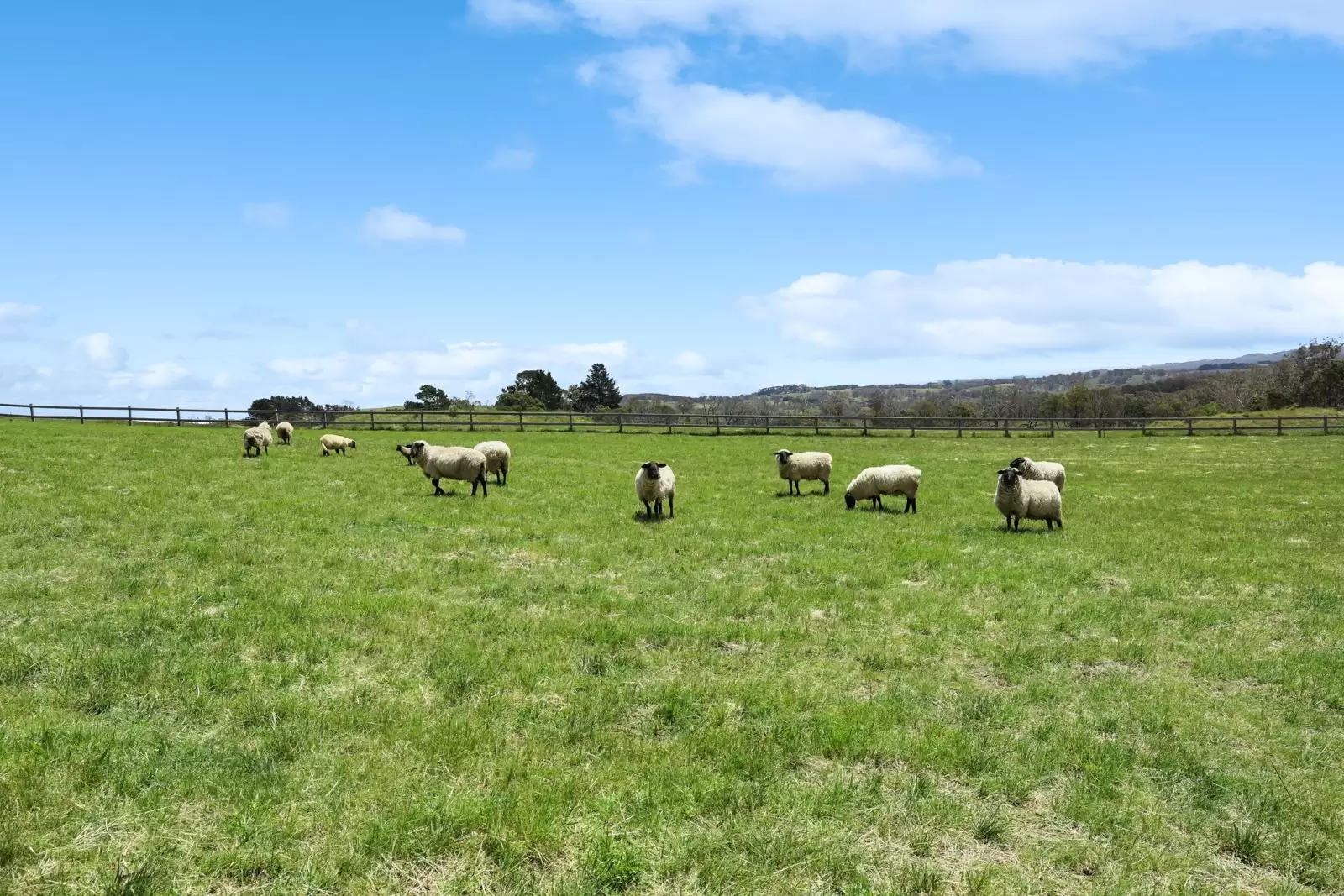 373 Centennial Road, Bowral For Sale by Drew Lindsay Sotheby's International Realty - image 7