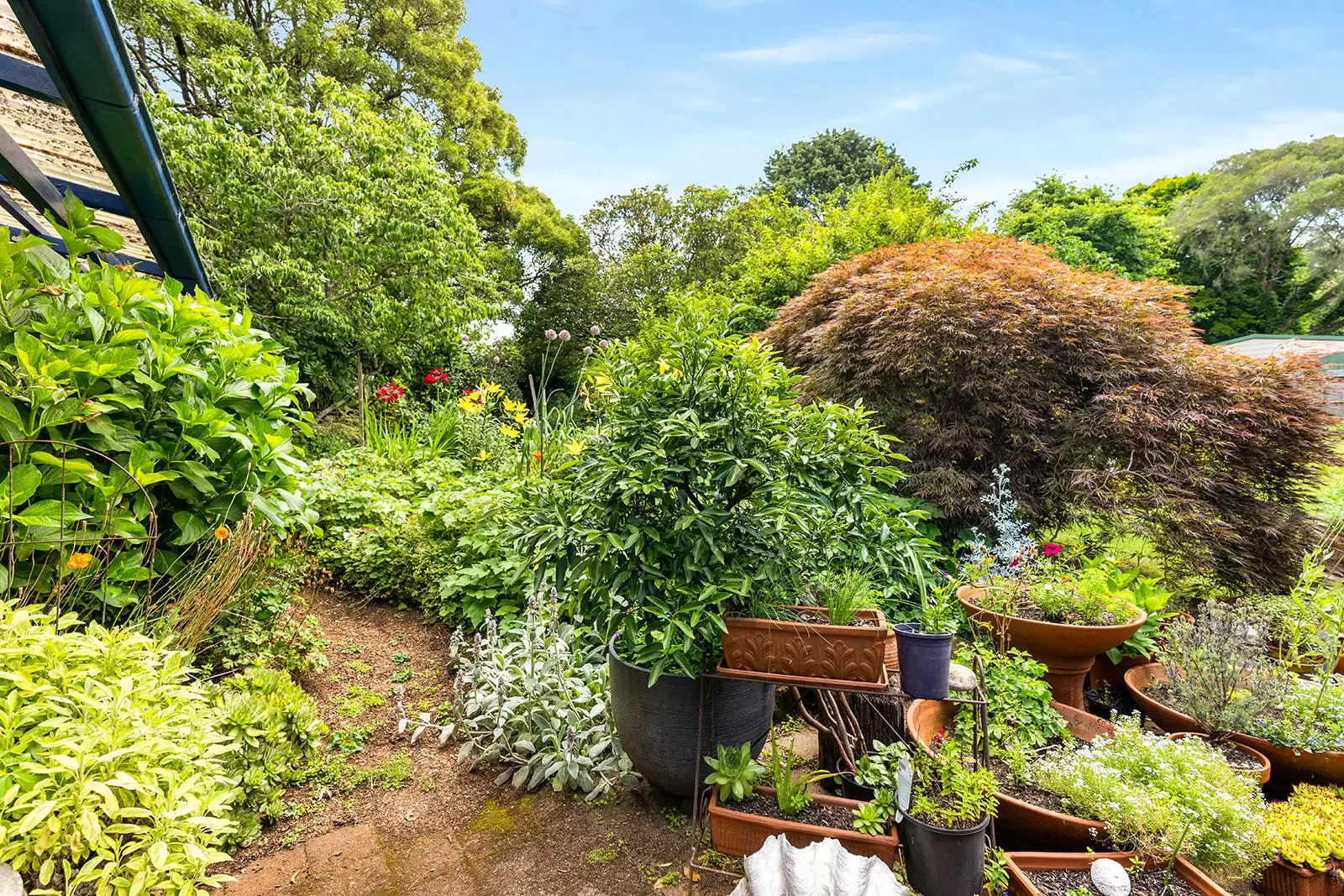 23 Hoddle Street, Burrawang For Sale by Drew Lindsay Sotheby's International Realty - image 14