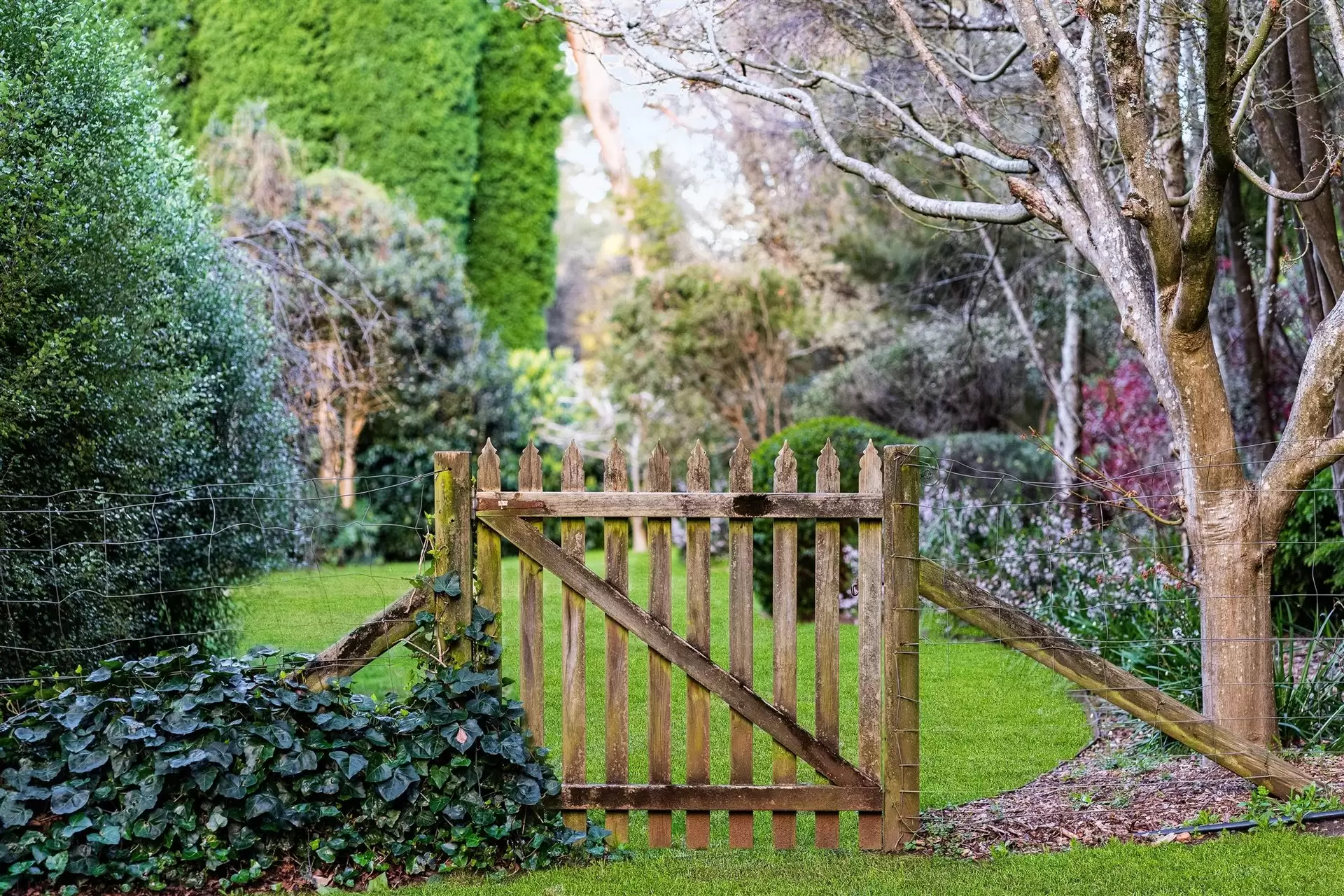 71A Burradoo Road, Burradoo Sold by Drew Lindsay Sotheby's International Realty - image 21